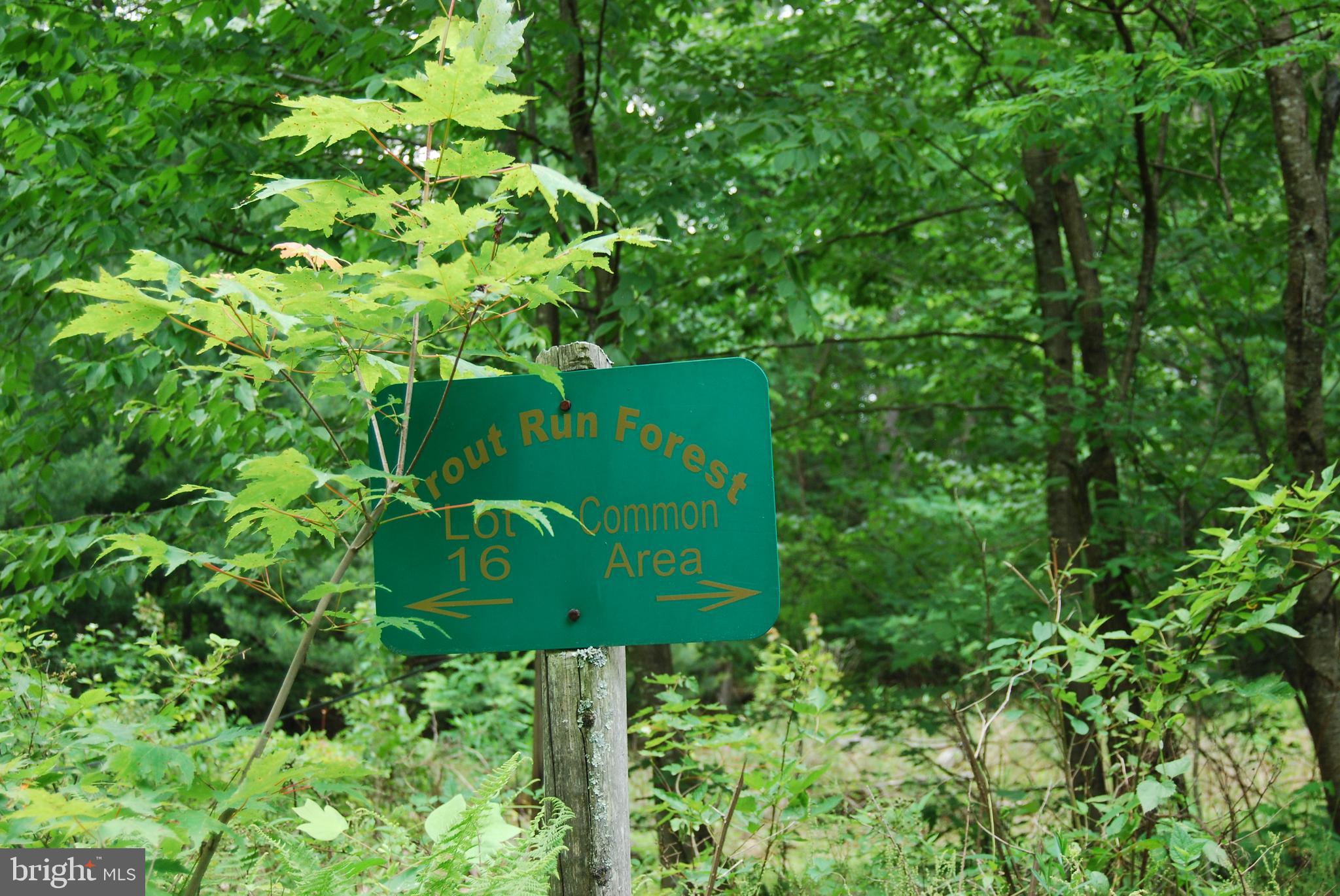 TROUT RUN FOREST - Land