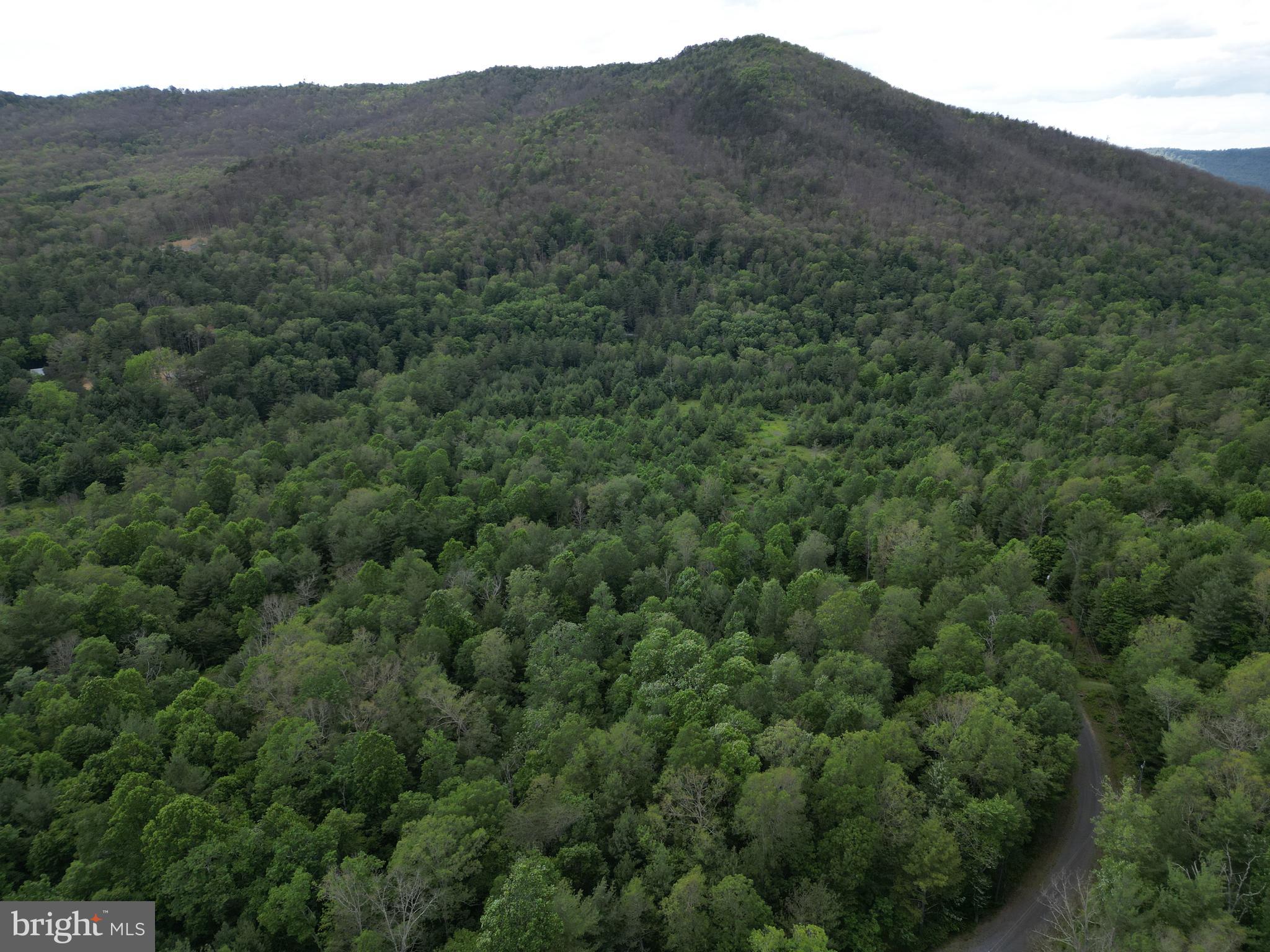 TROUT RUN FOREST - Land