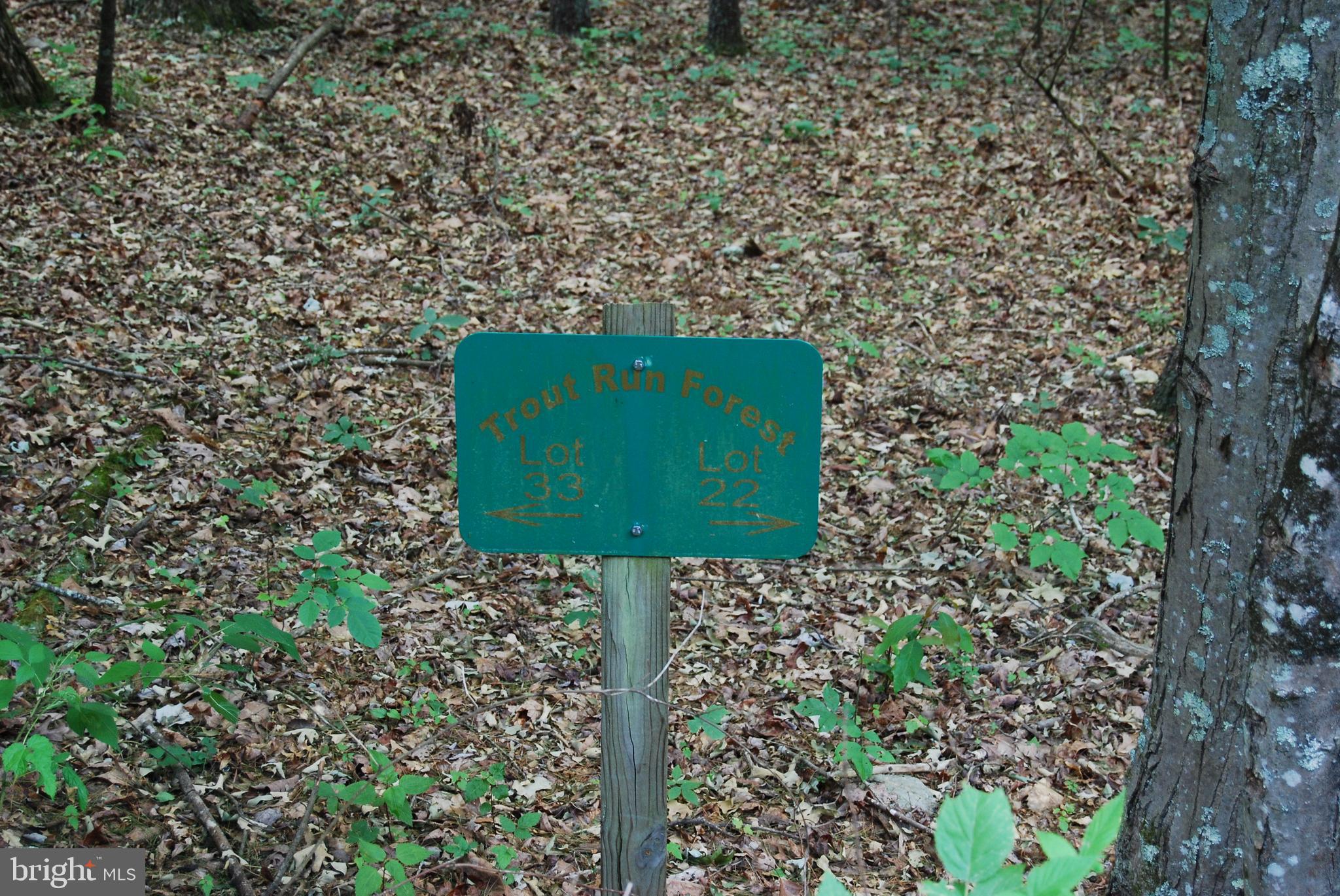 TROUT RUN FOREST - Land