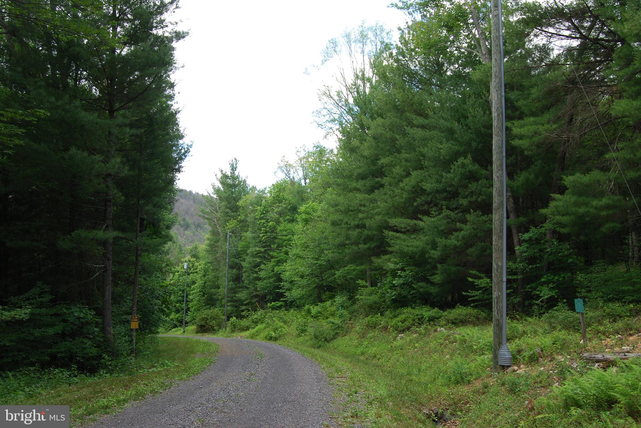 TROUT RUN FOREST - Land