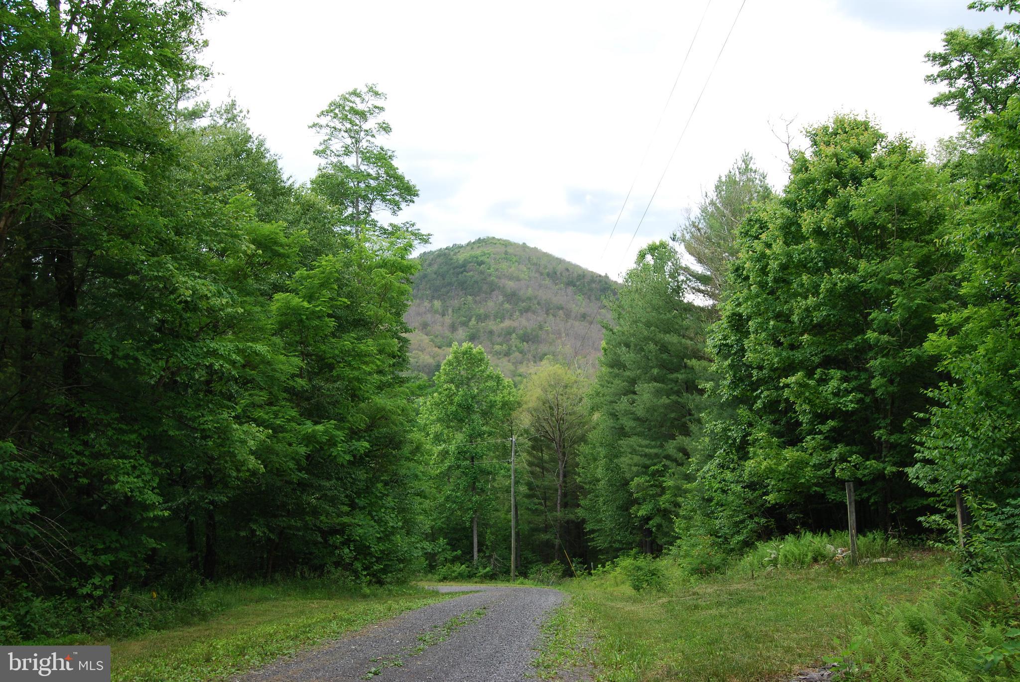 TROUT RUN FOREST - Land