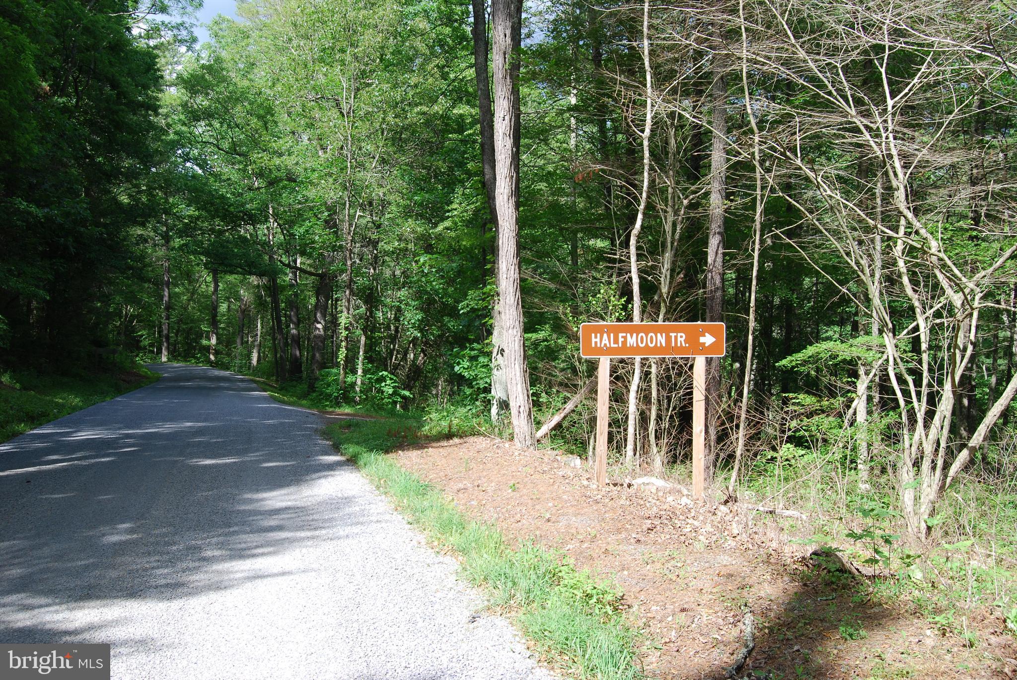 TROUT RUN FOREST - Land