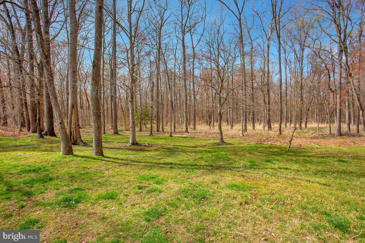 EUTAW FOREST - Residential