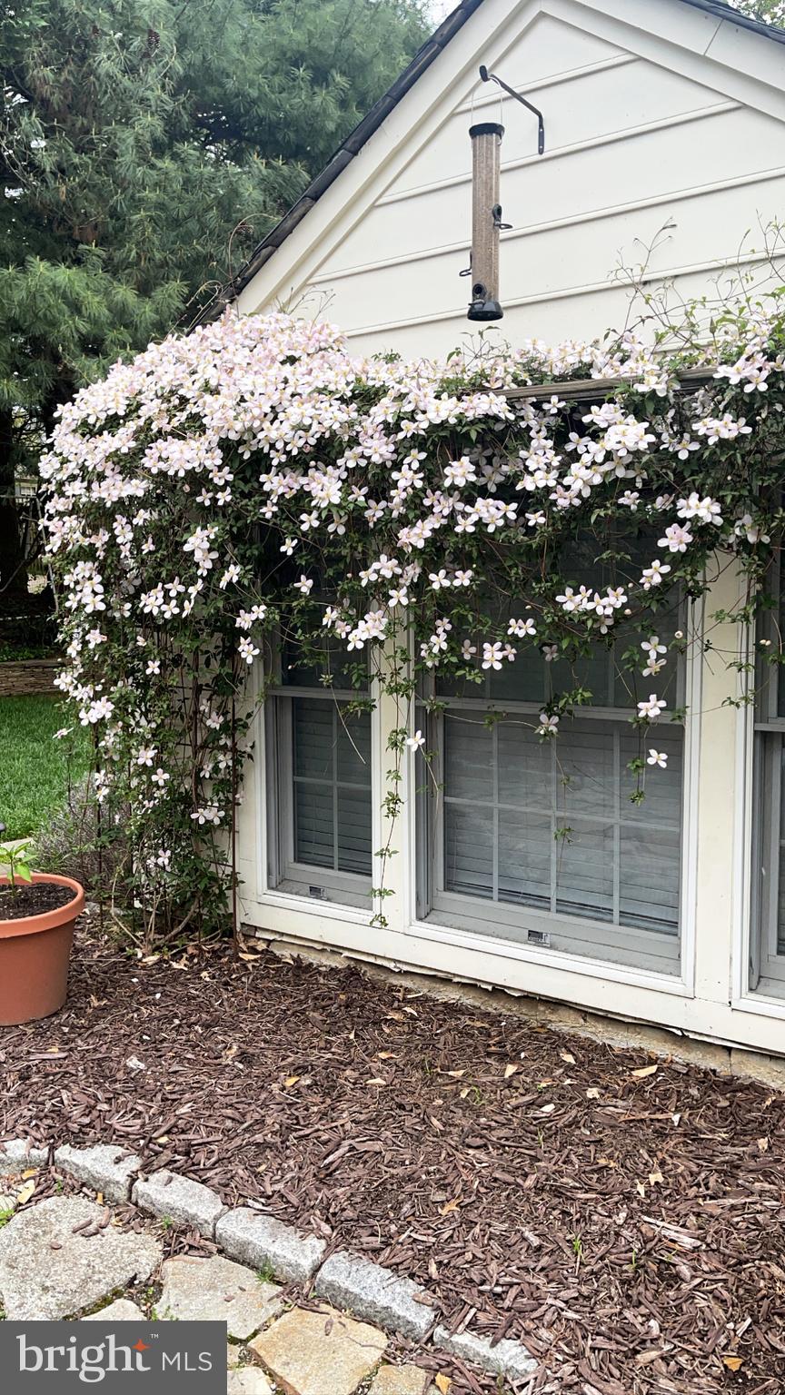 WILTONDALE - Residential