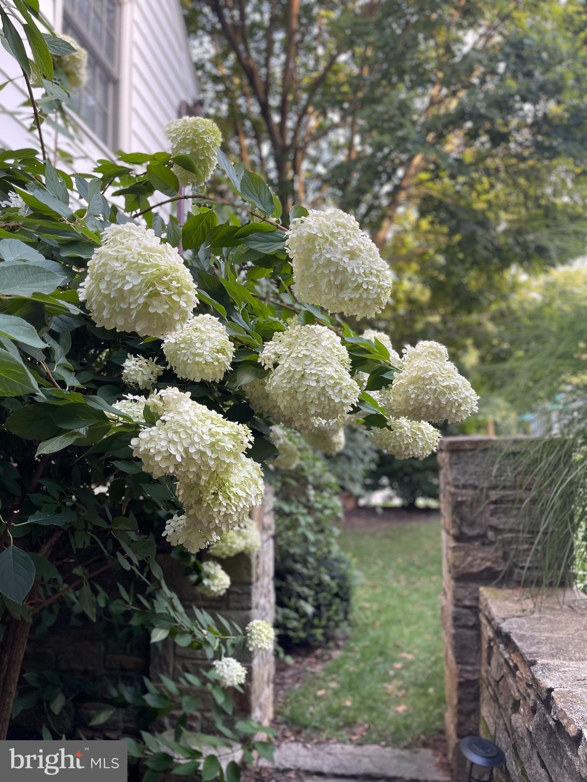 WILTONDALE - Residential