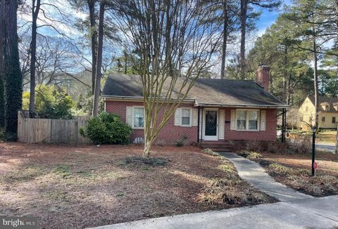 528 W COLLEGE AVENUE SALISBURY MD 21801