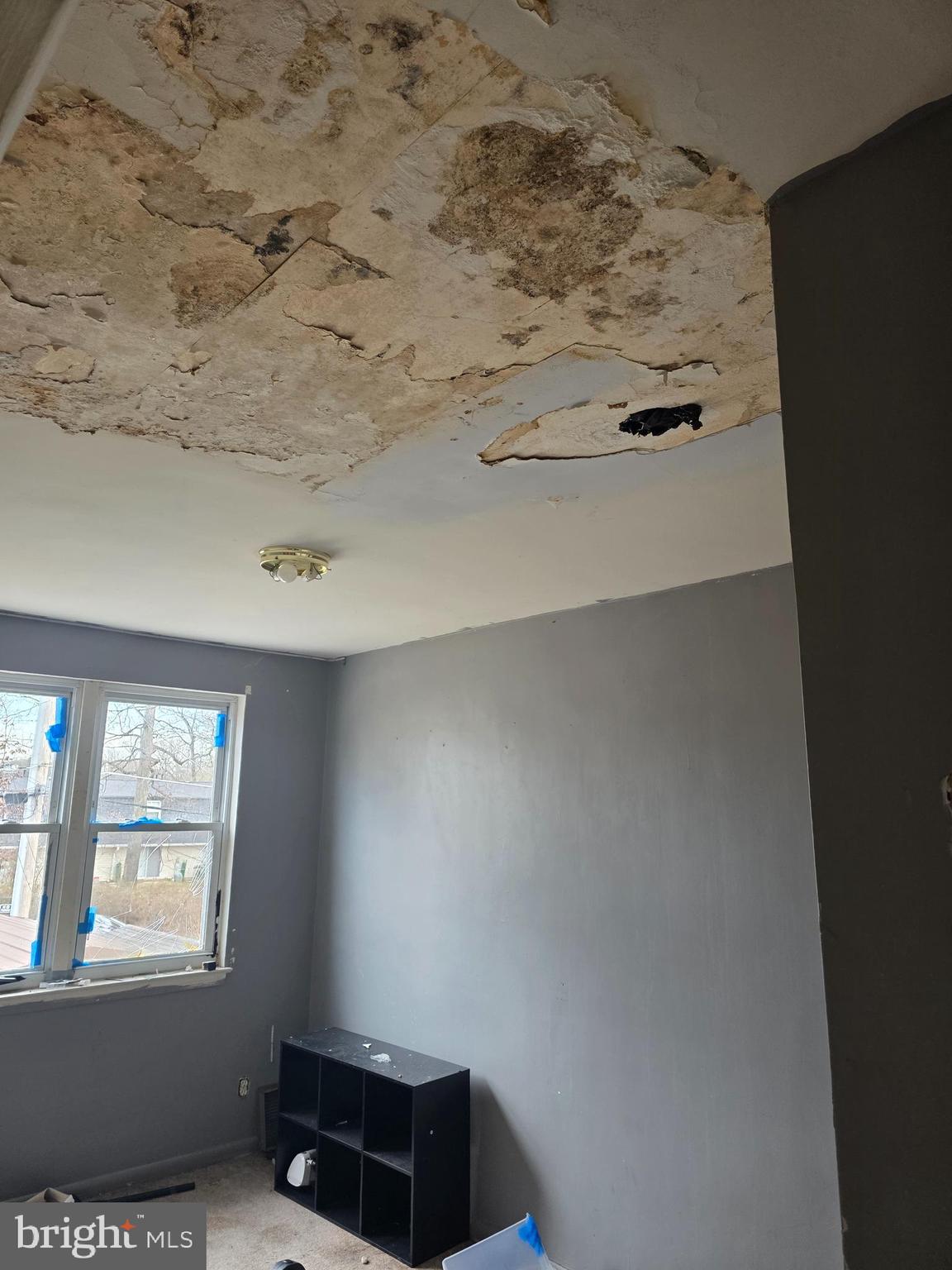 BALLARD GARDENS - Residential