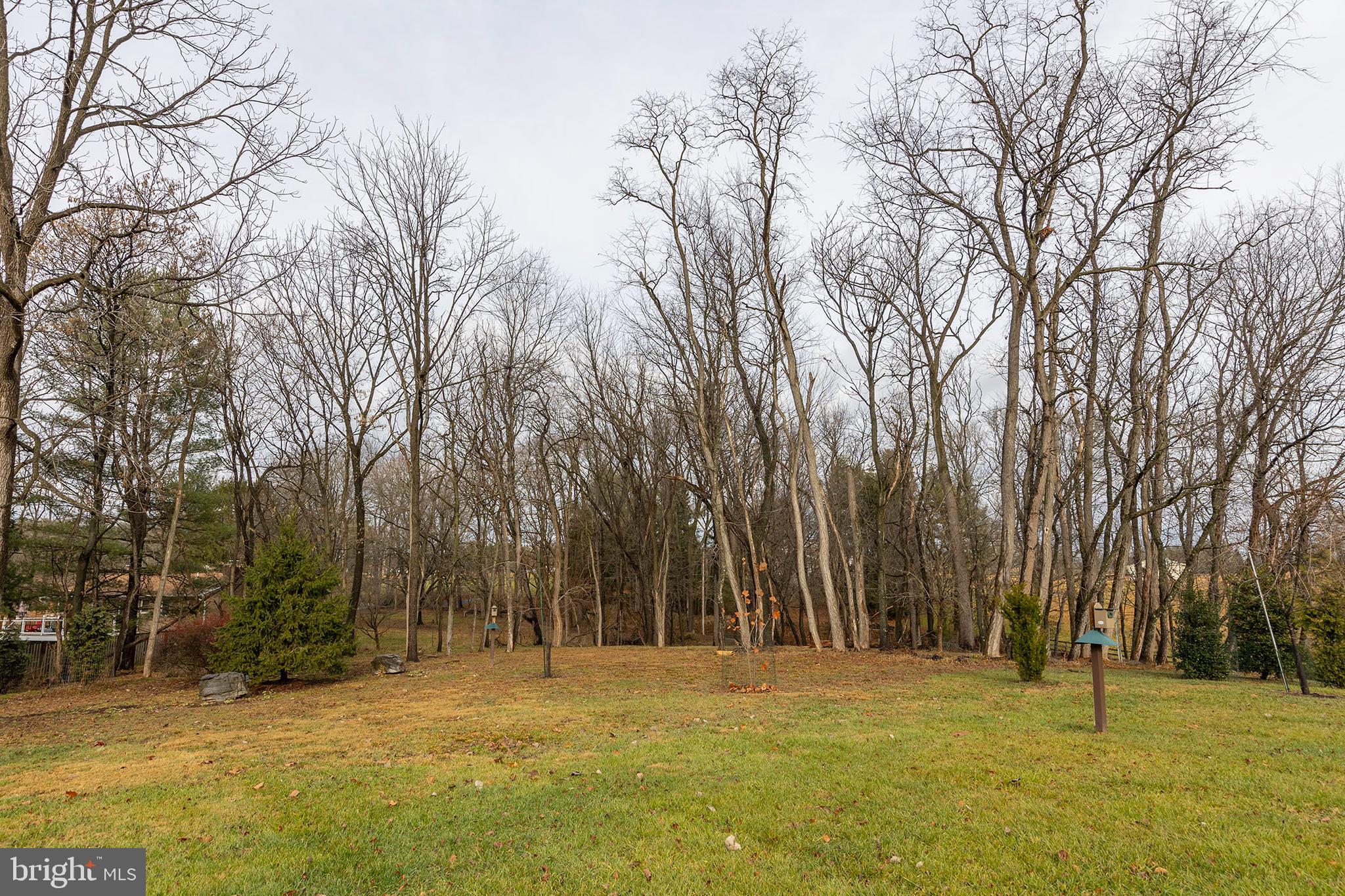 RUNNYMEDE - Residential