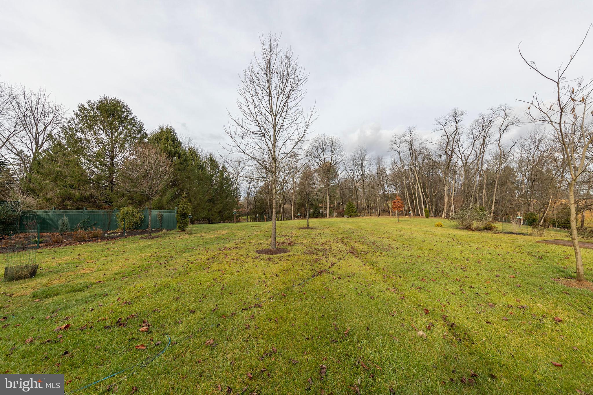 RUNNYMEDE - Residential