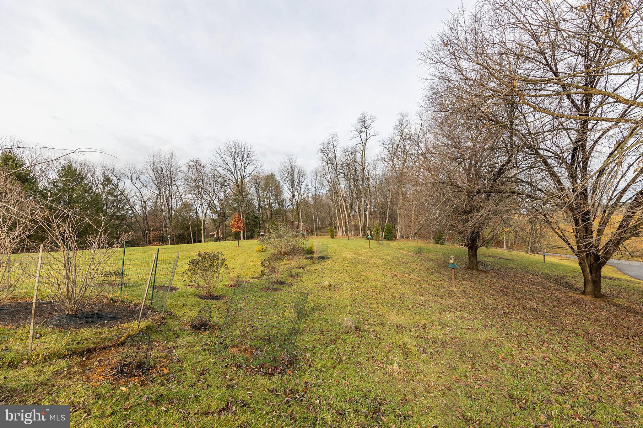 RUNNYMEDE - Residential