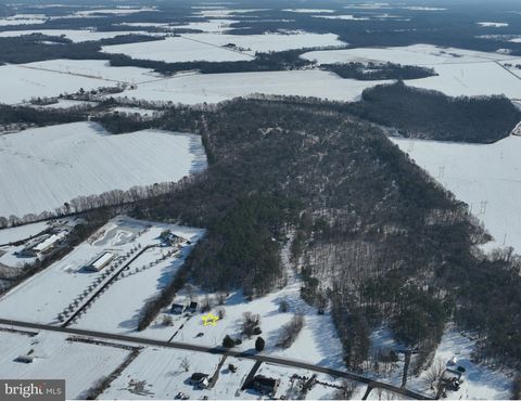 Lot 1 WILLIAMSVILLE ROAD HOUSTON DE 19954