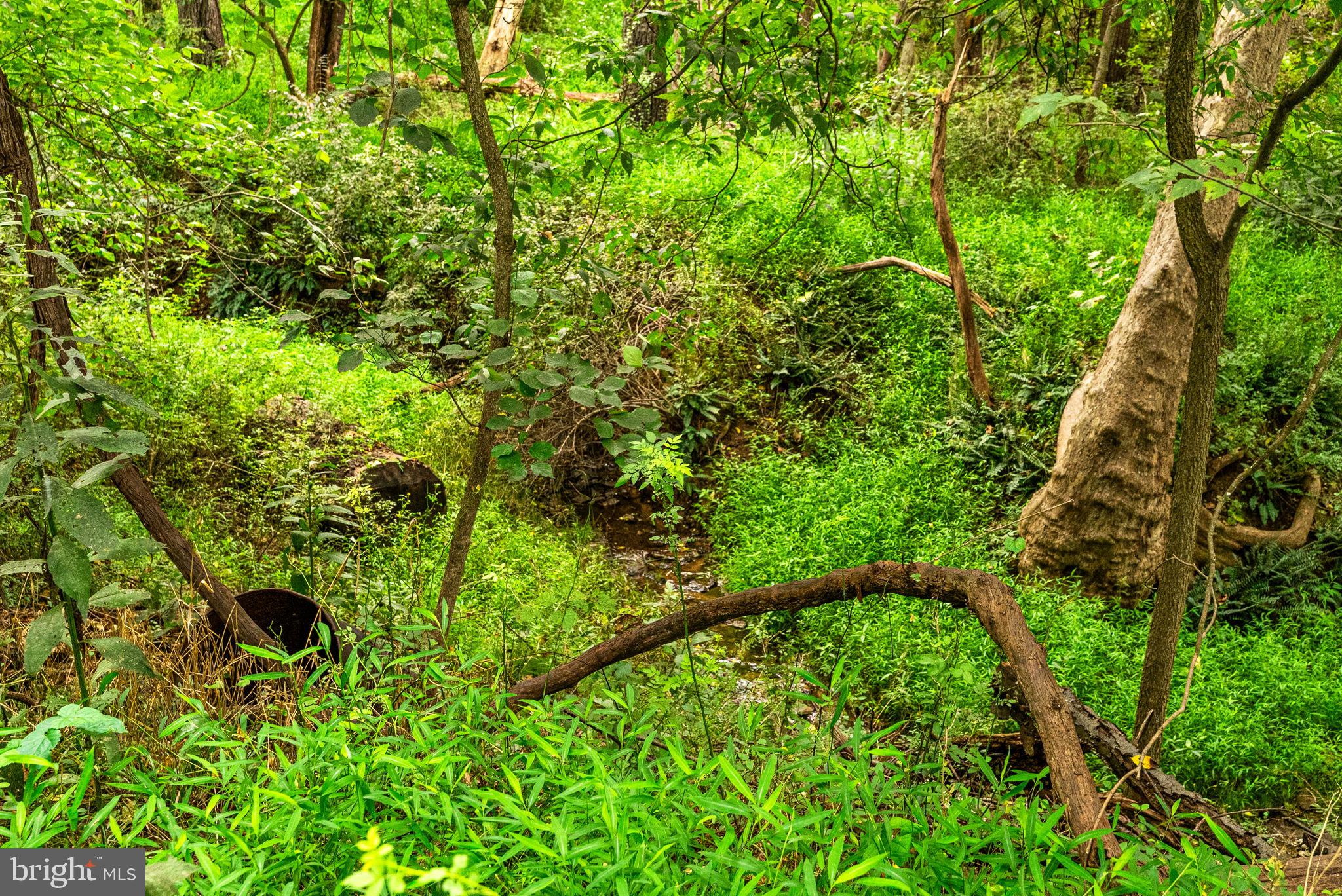 ATOKA CHASE - Residential