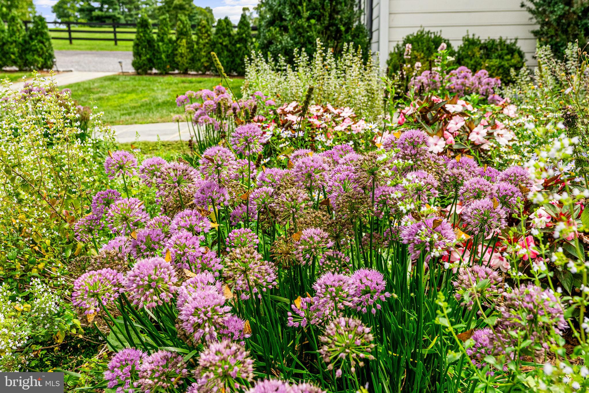 ATOKA CHASE - Residential