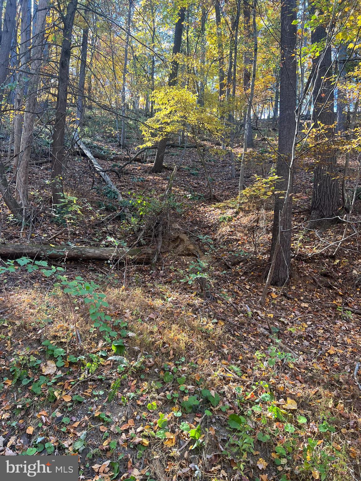 BRYCE  MOUNTAIN  RESORT - Land