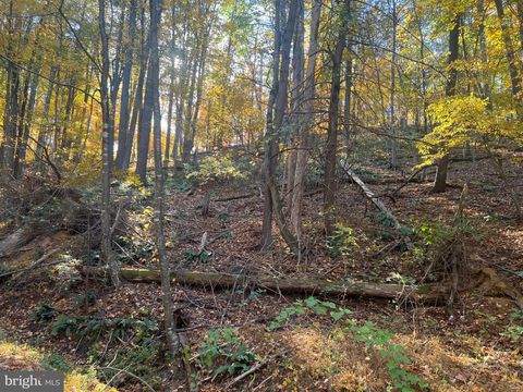 Vacant Land For Sale - Pin Oak Street<br/> BASYE, VA 22810