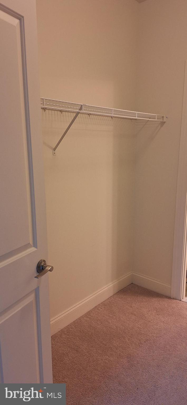 PALLADIAN - Residential