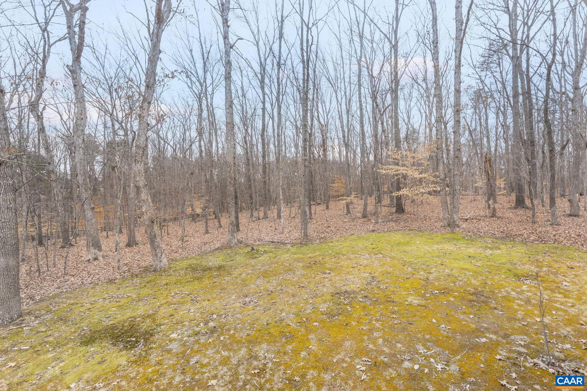 LAKE MONTICELLO - Residential