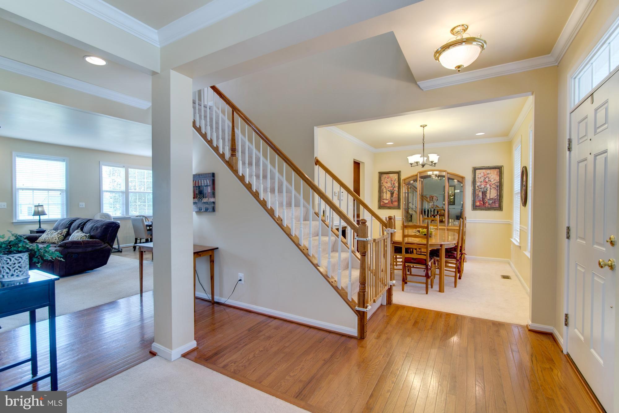 MEADOWS AT MORRIS FARM - Residential