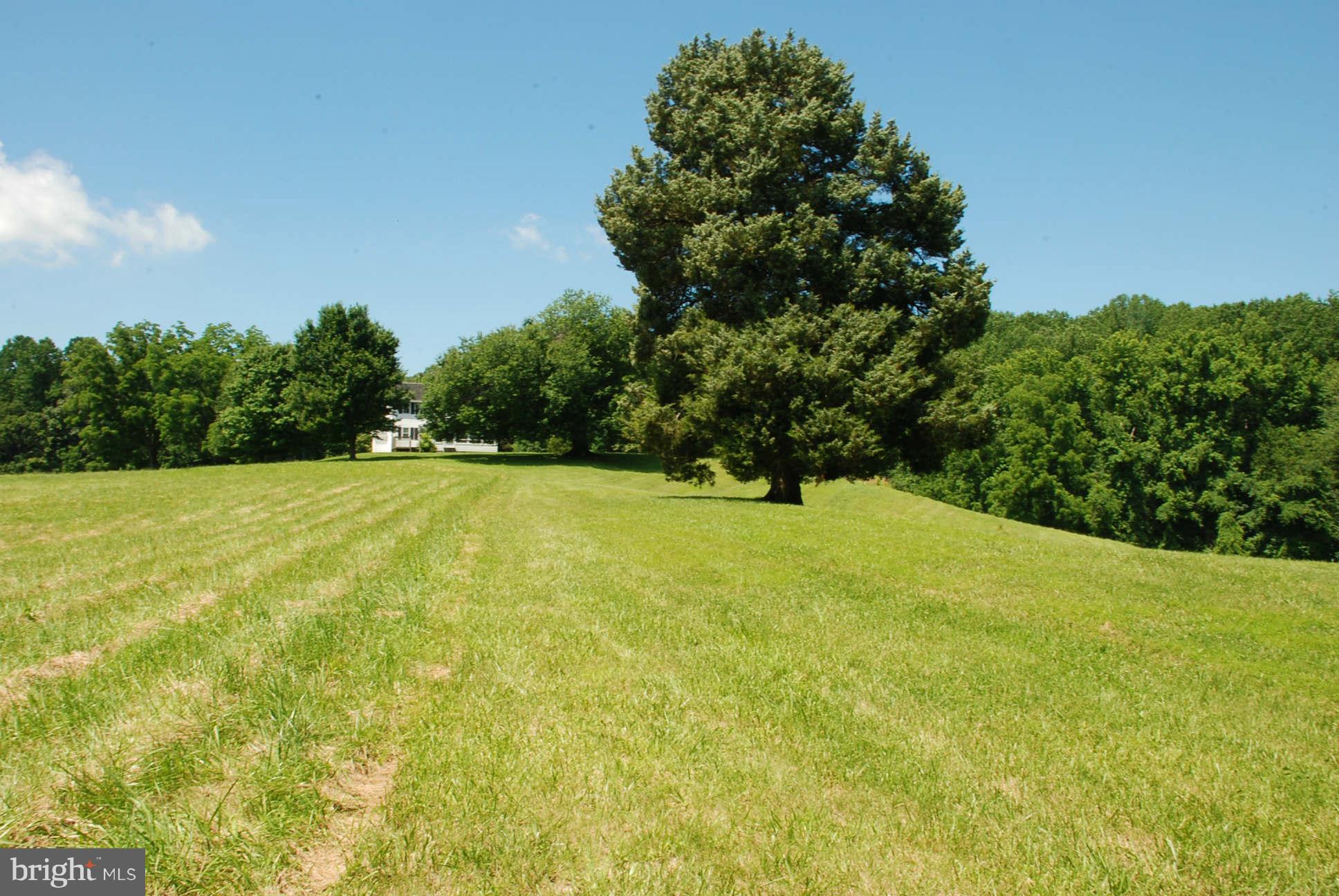 NONE AVAILABLE - Land