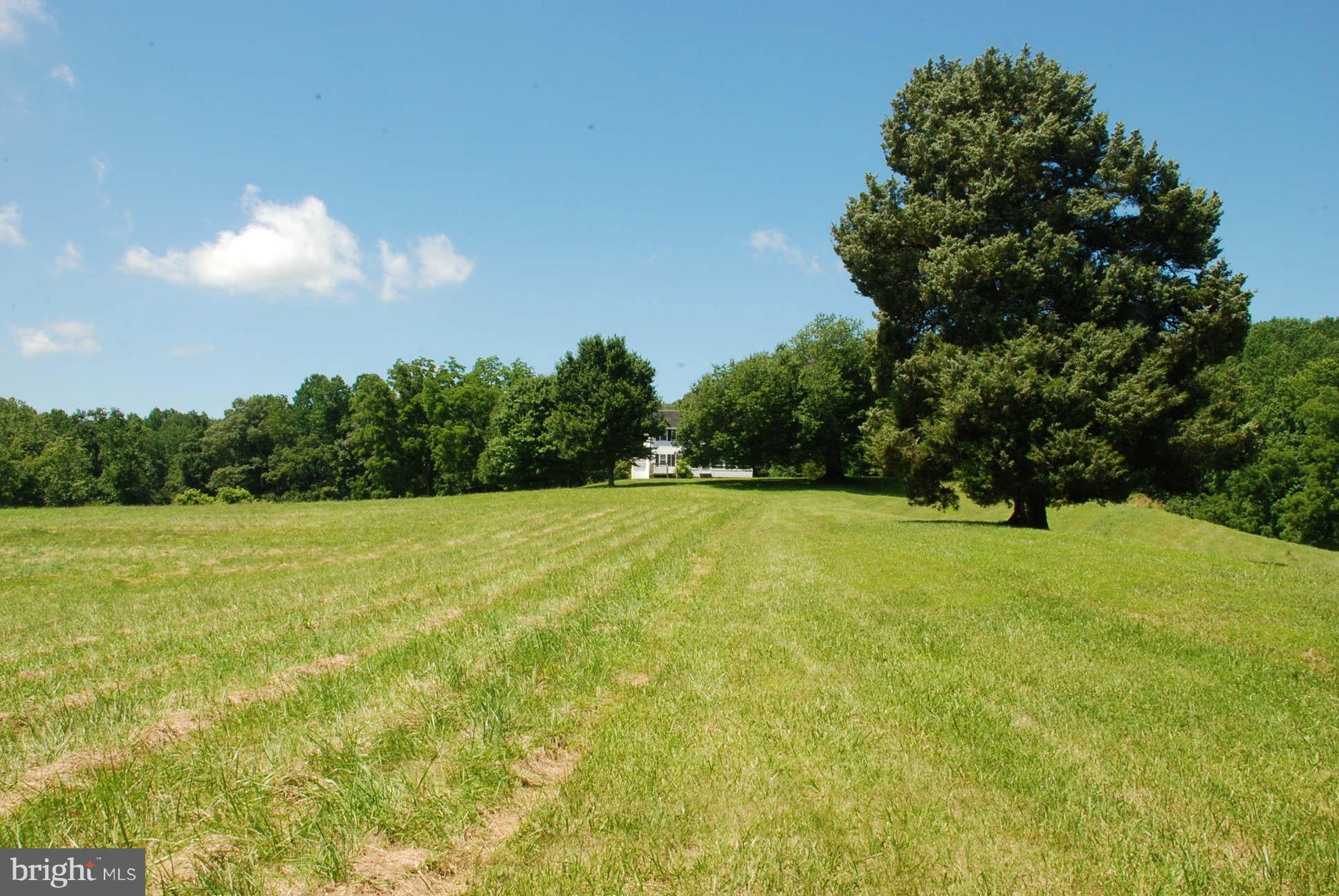 NONE AVAILABLE - Land