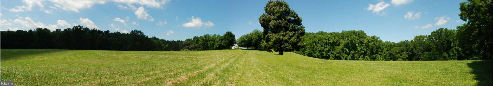 NONE AVAILABLE - Land