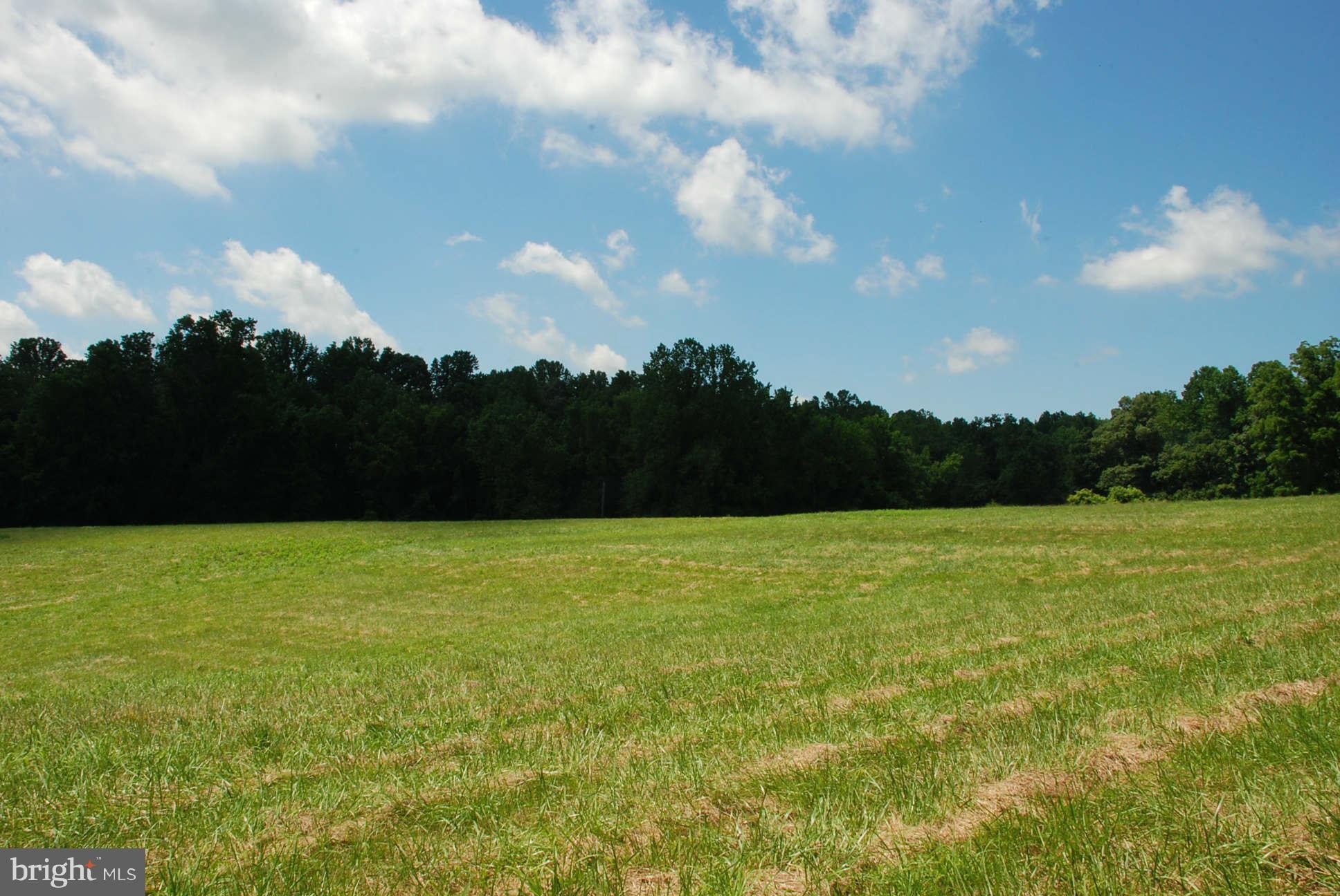 NONE AVAILABLE - Land