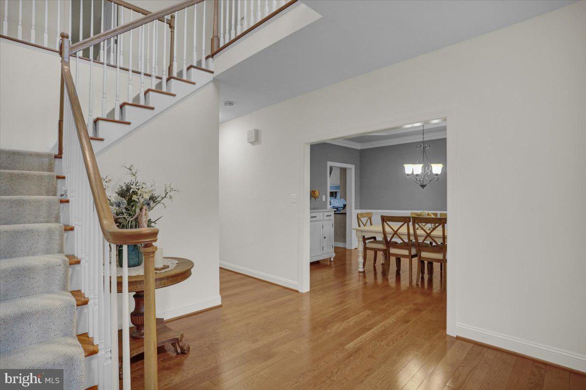 REEDY RUN - Residential