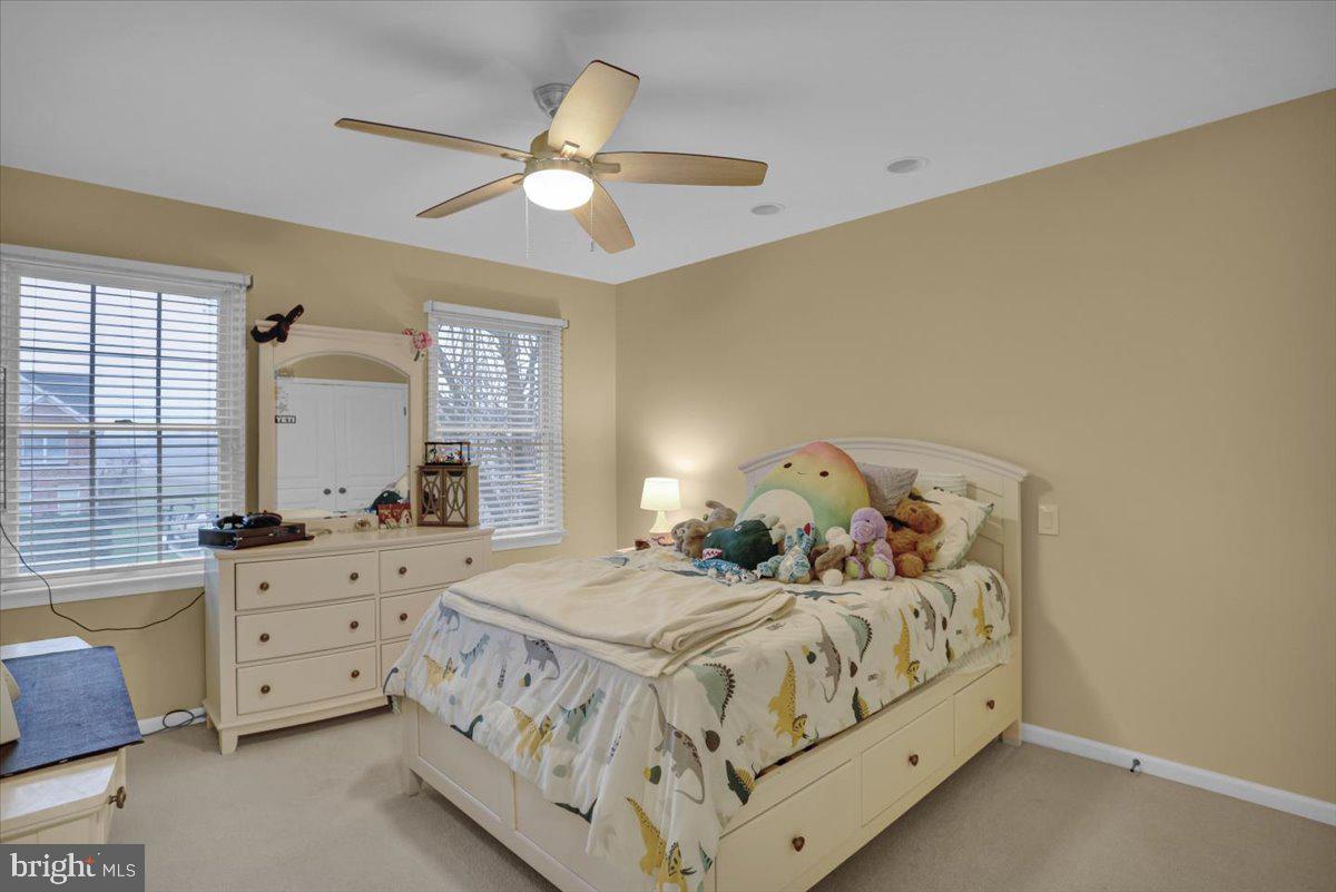 REEDY RUN - Residential
