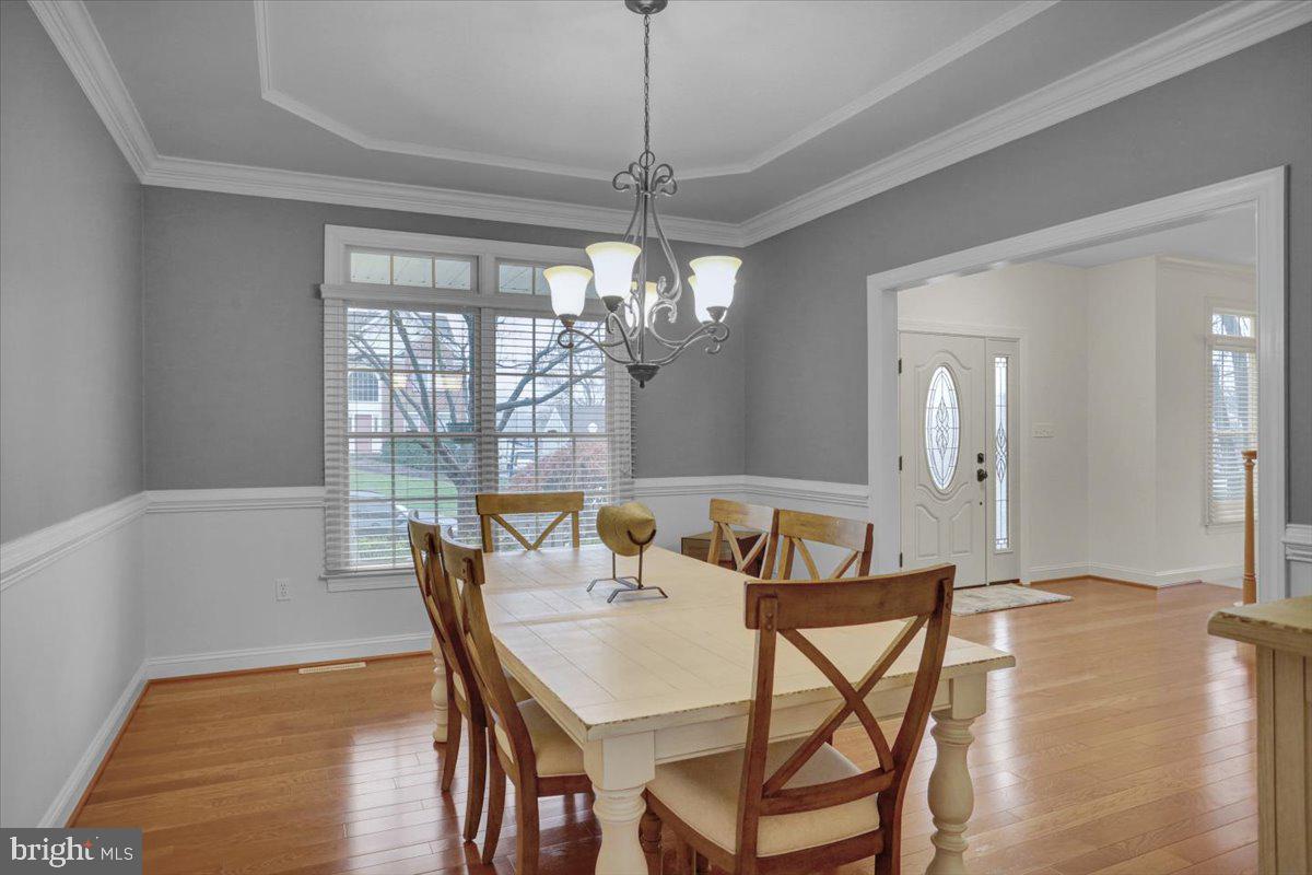 REEDY RUN - Residential