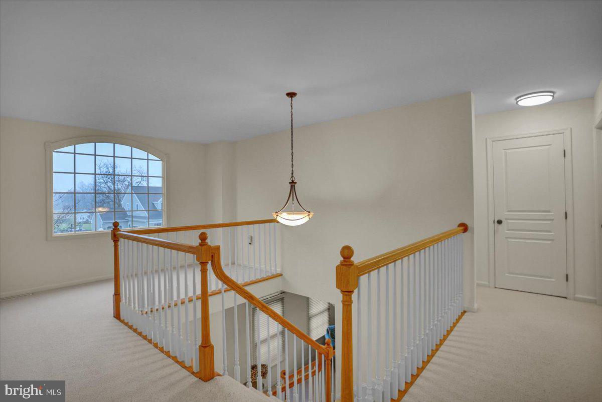 REEDY RUN - Residential