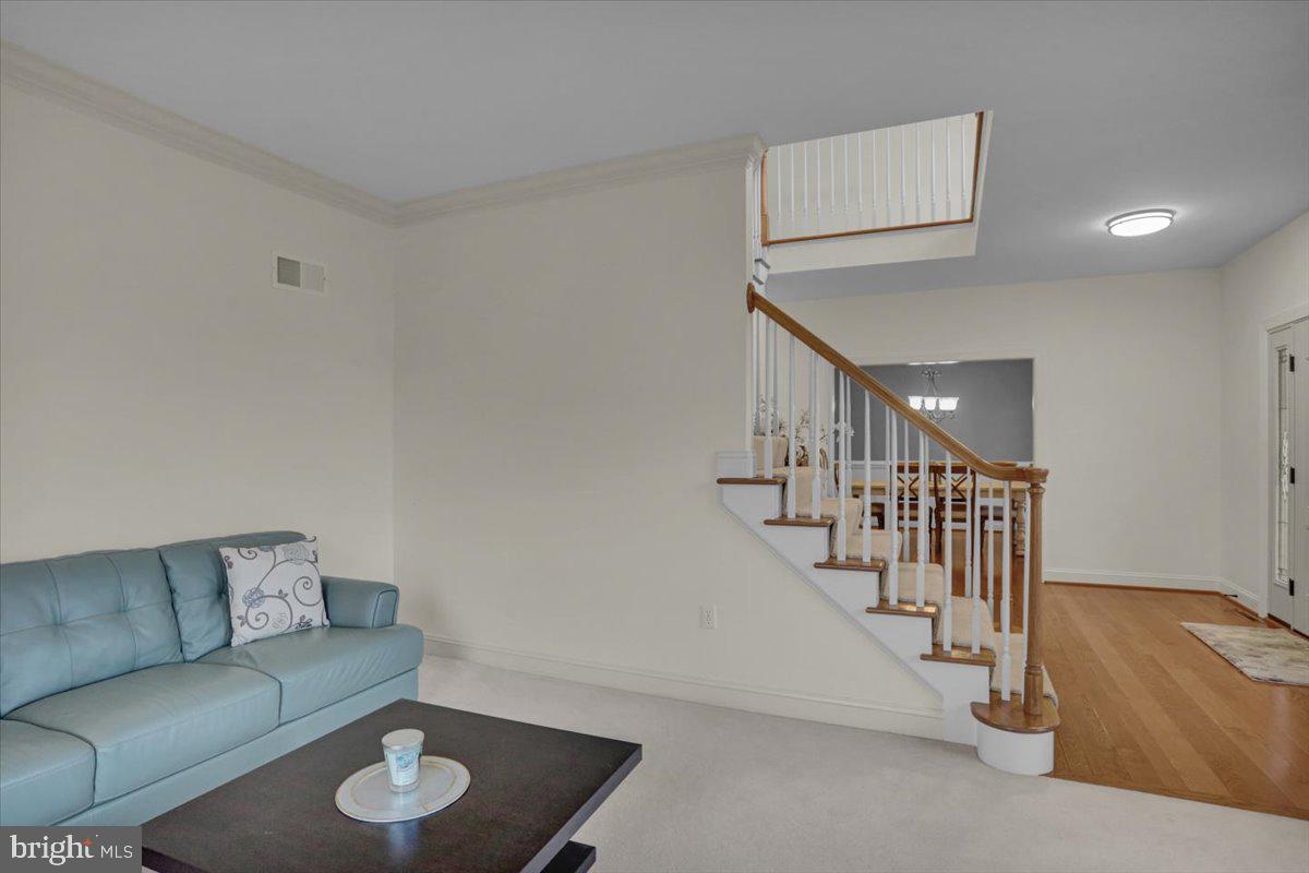 REEDY RUN - Residential