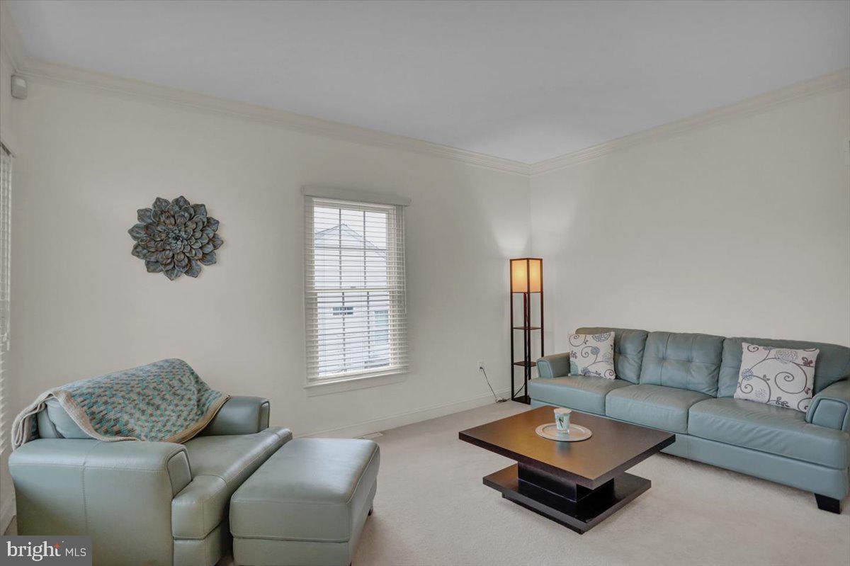REEDY RUN - Residential