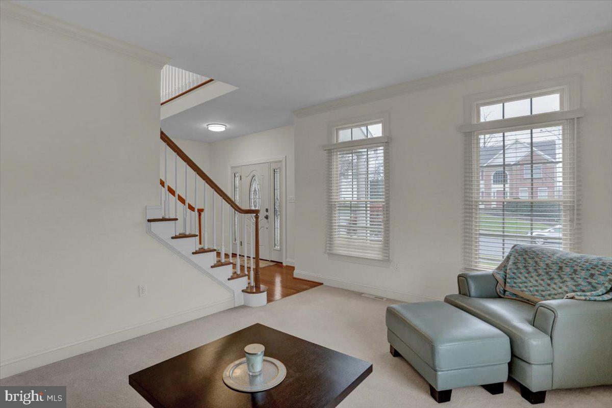 REEDY RUN - Residential