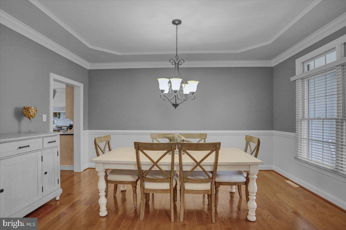 REEDY RUN - Residential