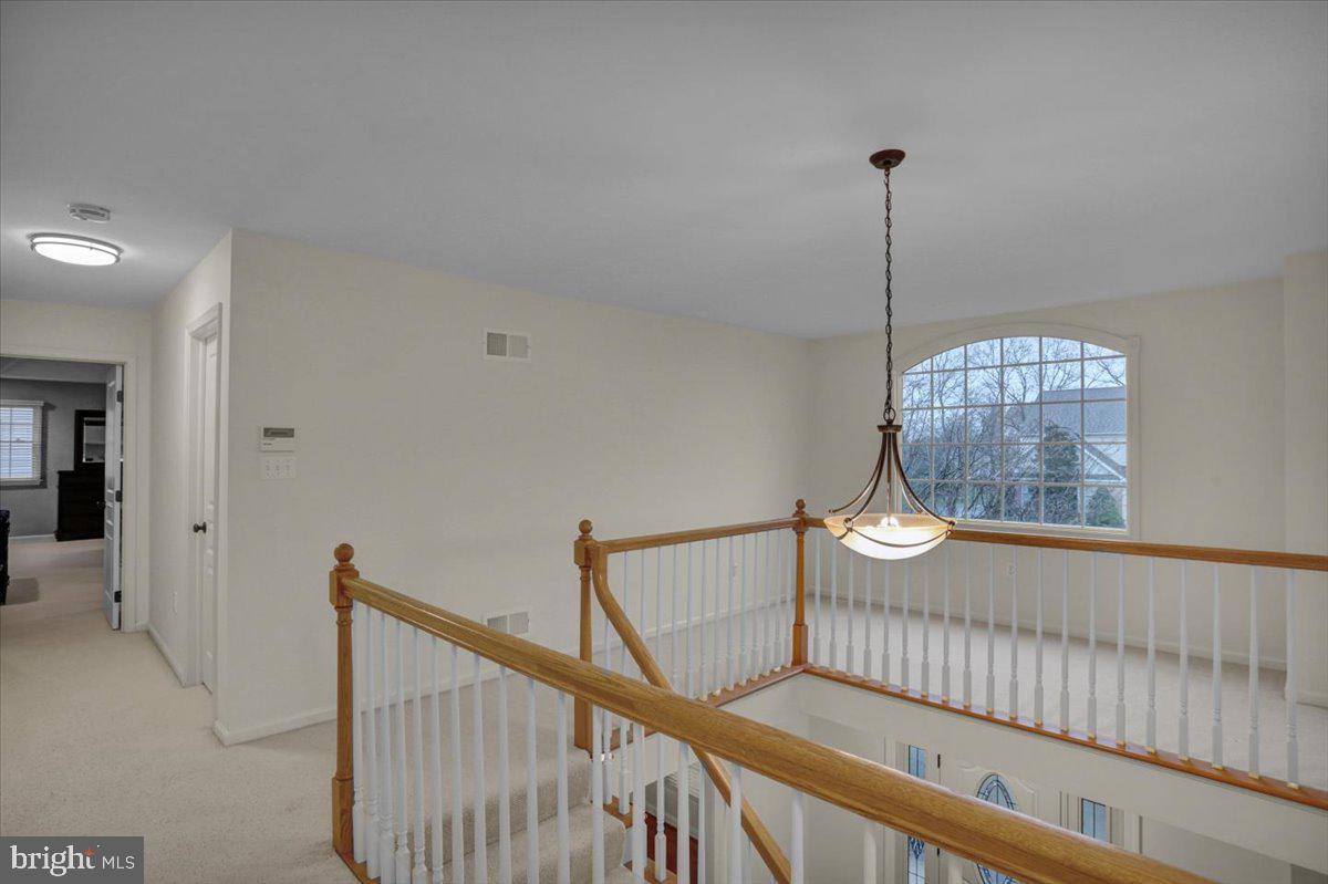 REEDY RUN - Residential