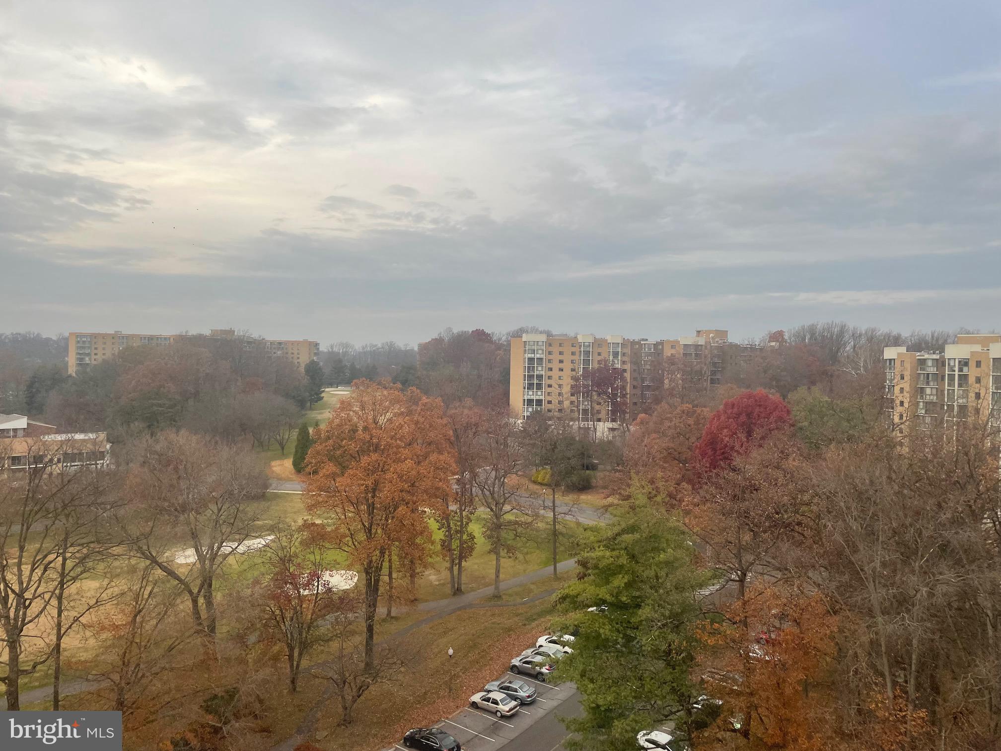 GREENS AT LEISURE WORLD - Residential