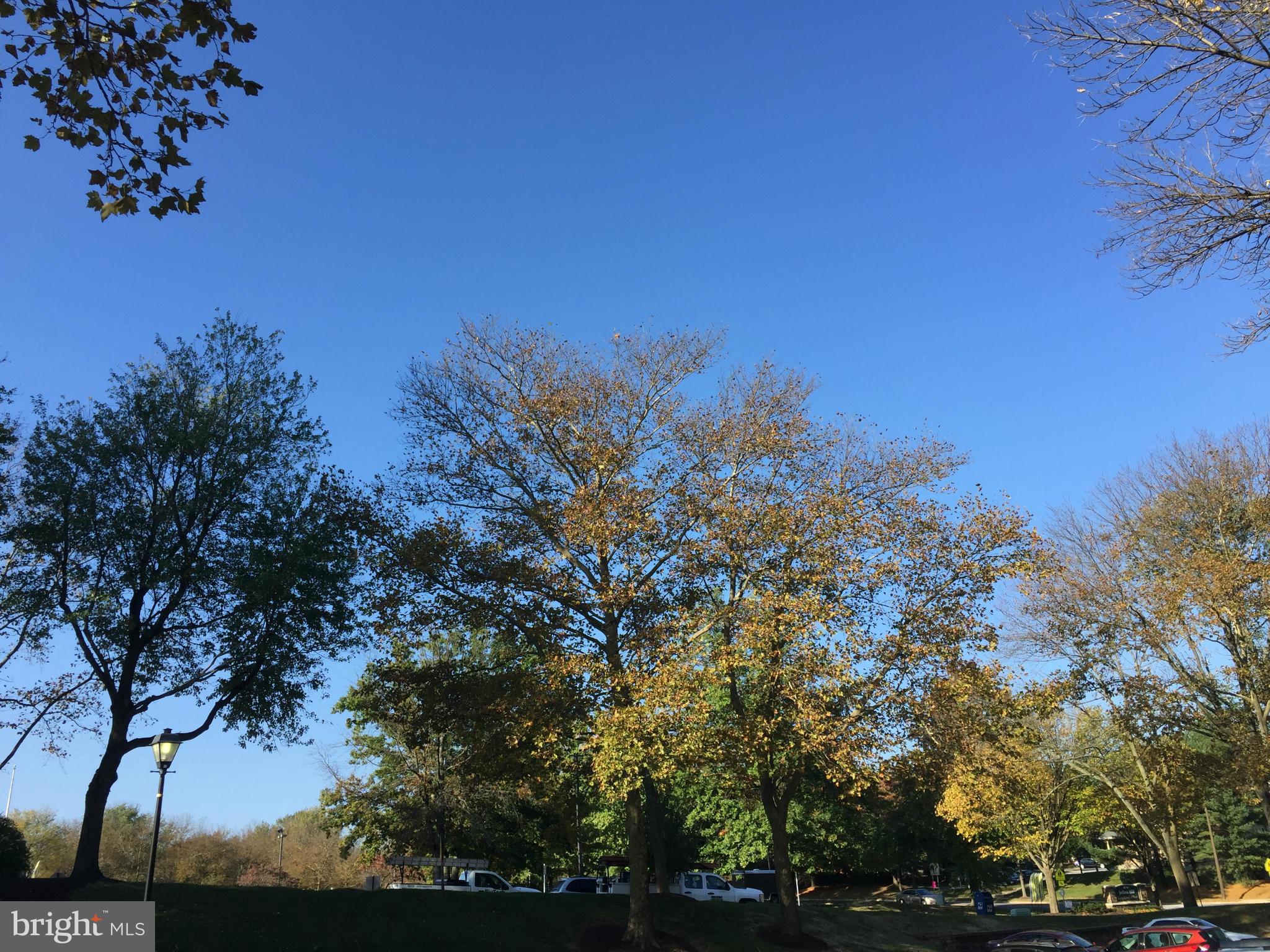 VILLAGE OF LONG REACH - Residential