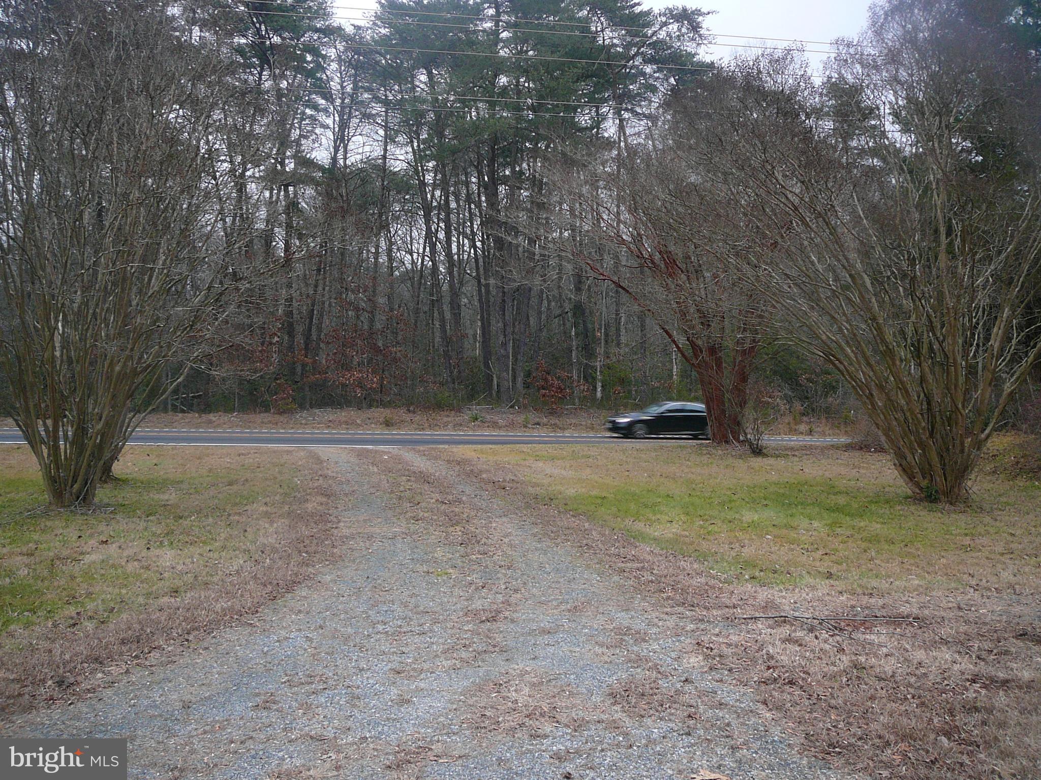 SYCAMORE - Residential