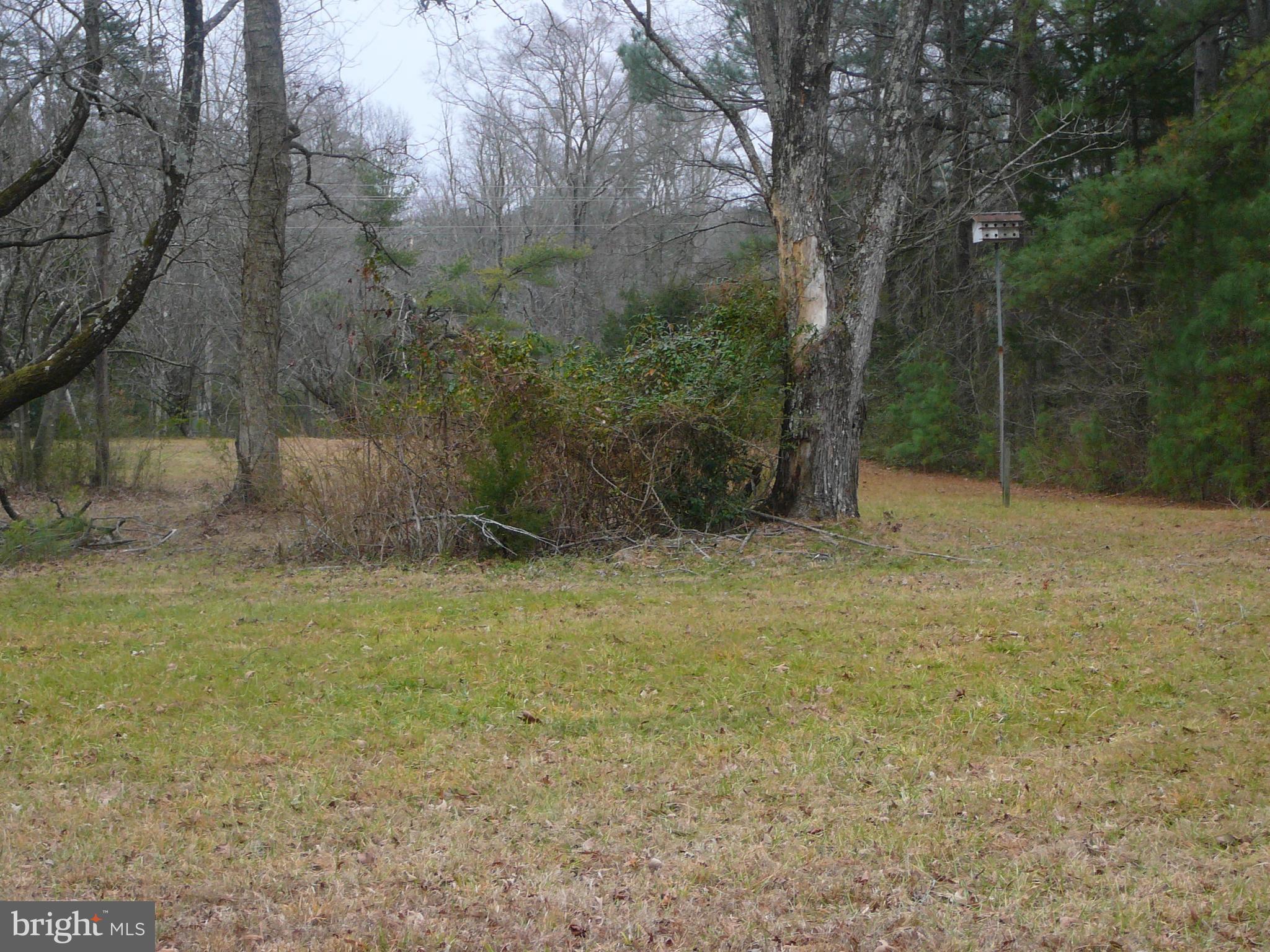 SYCAMORE - Residential