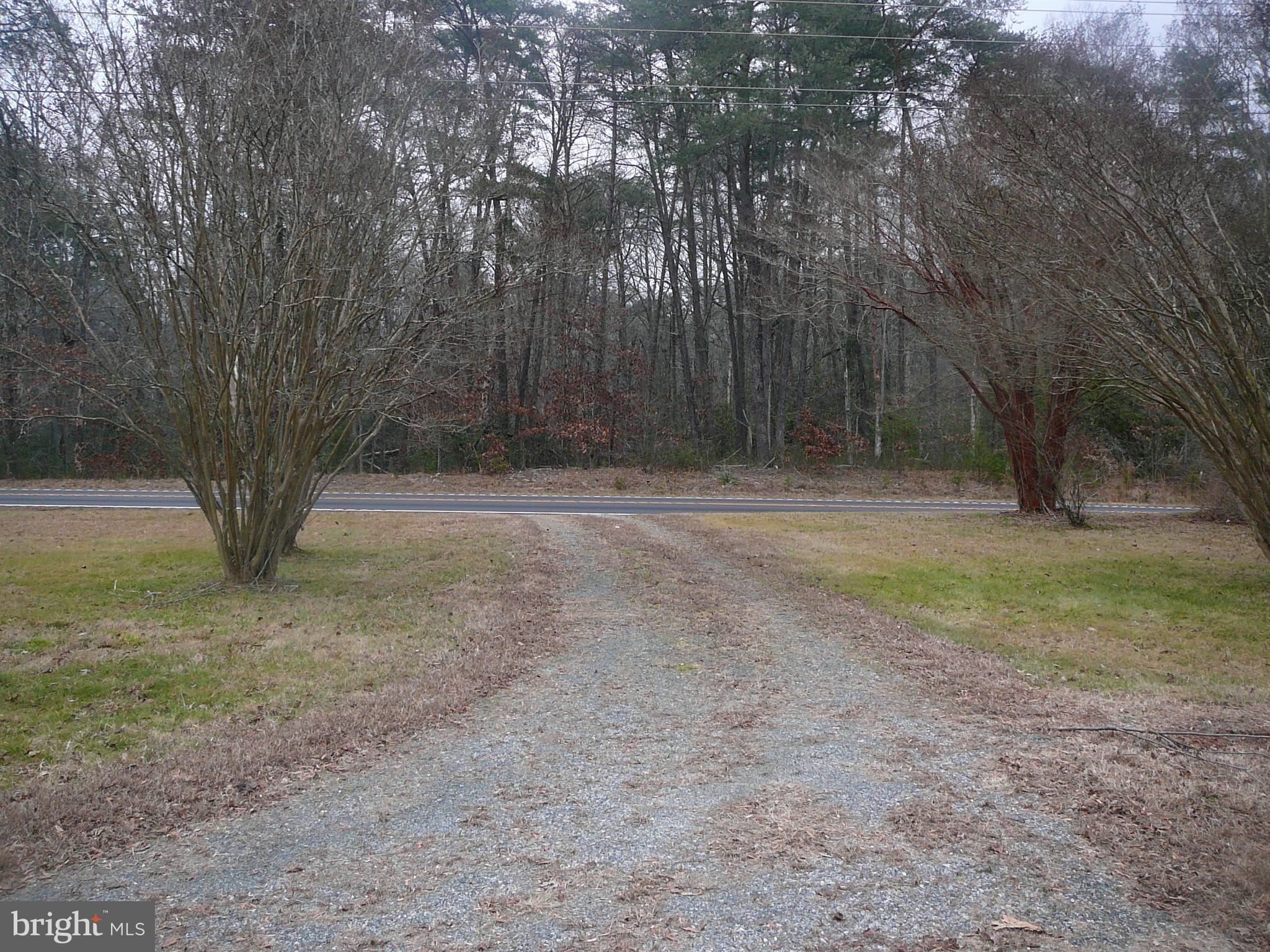 SYCAMORE - Residential