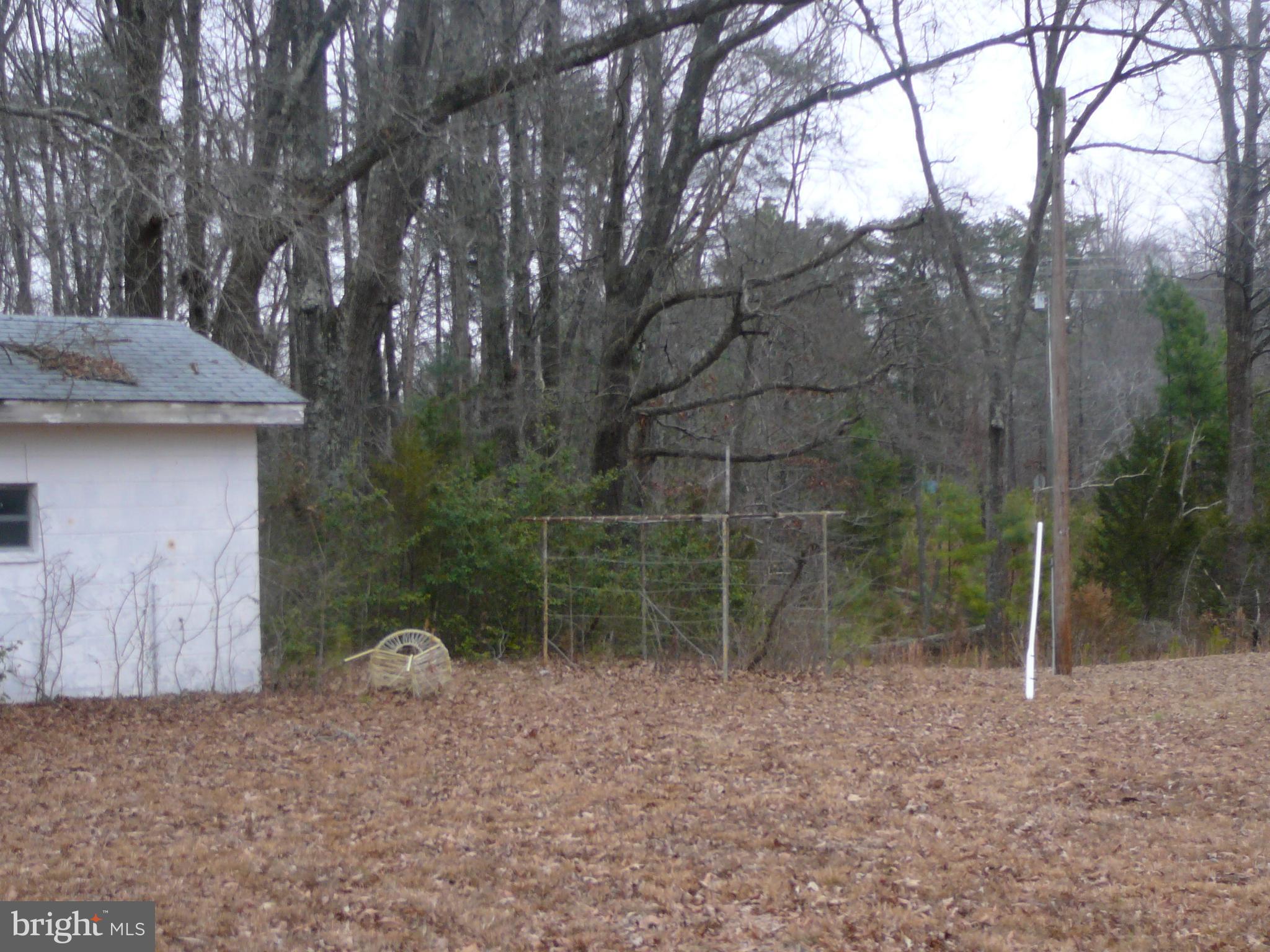 SYCAMORE - Residential