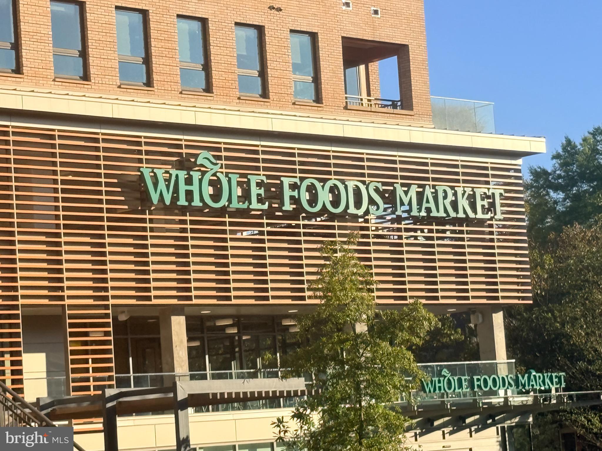 WINTER HILL - Residential Lease