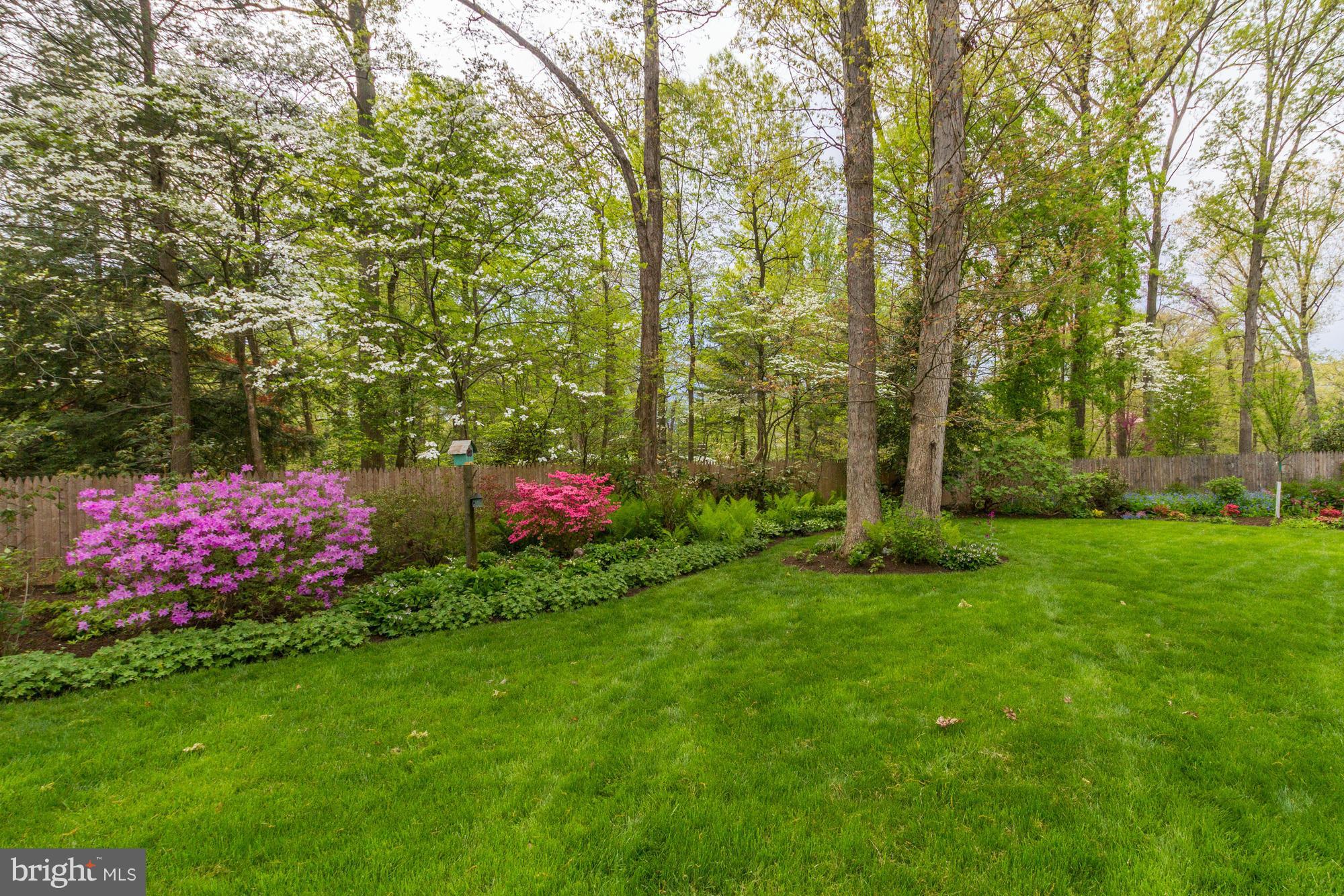 CONGRESSIONAL FOREST - Residential