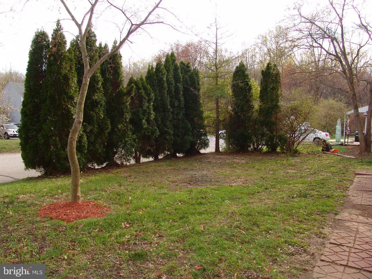 BRADFORD VILLAGE - Residential