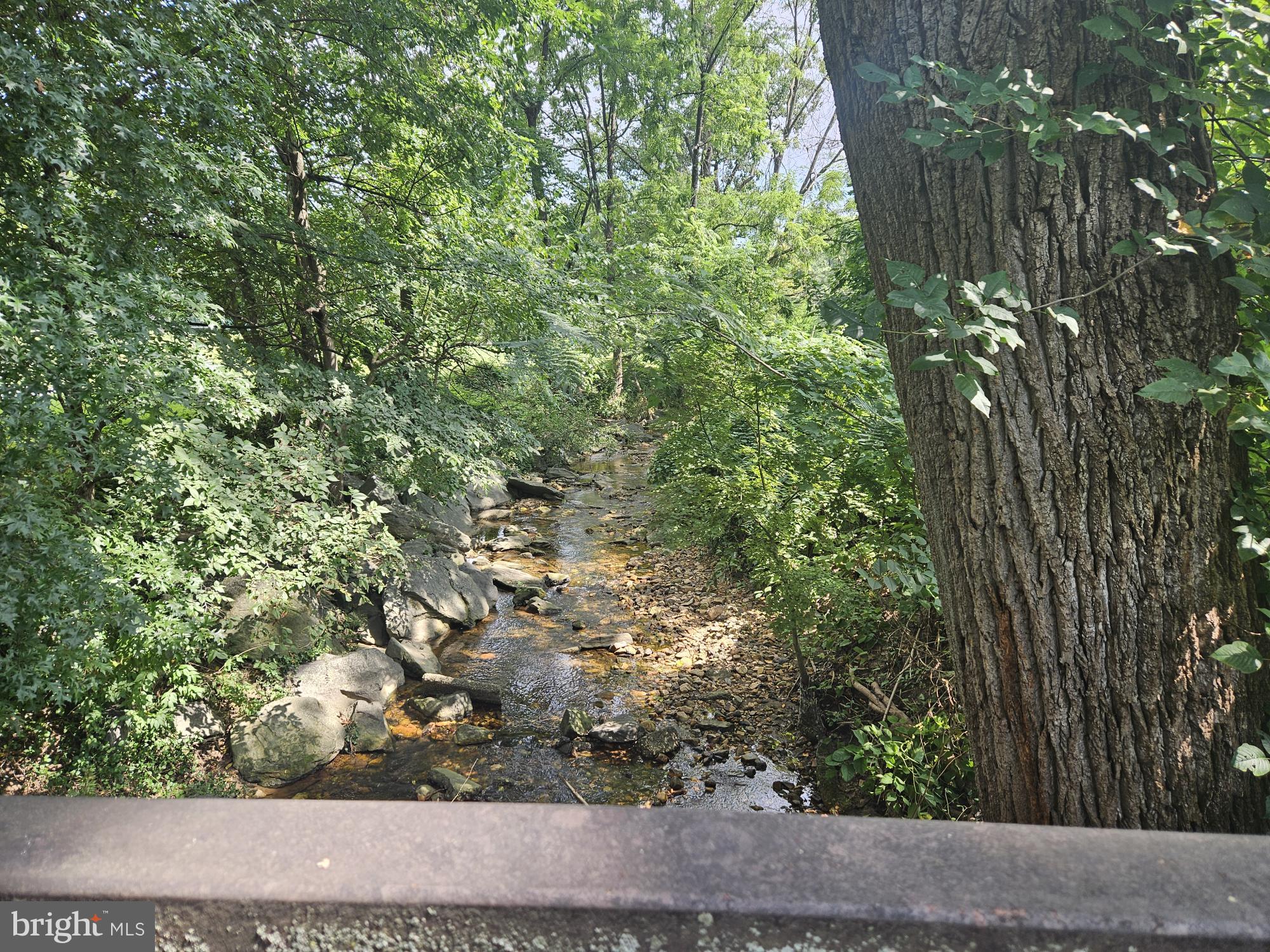 ROCK CREEK PALISADES - Residential