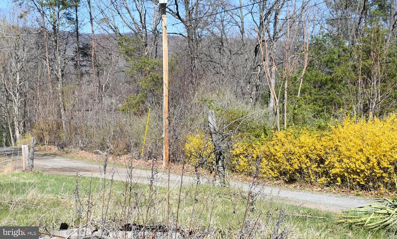 APPLE ORCHARD ACRES - Residential