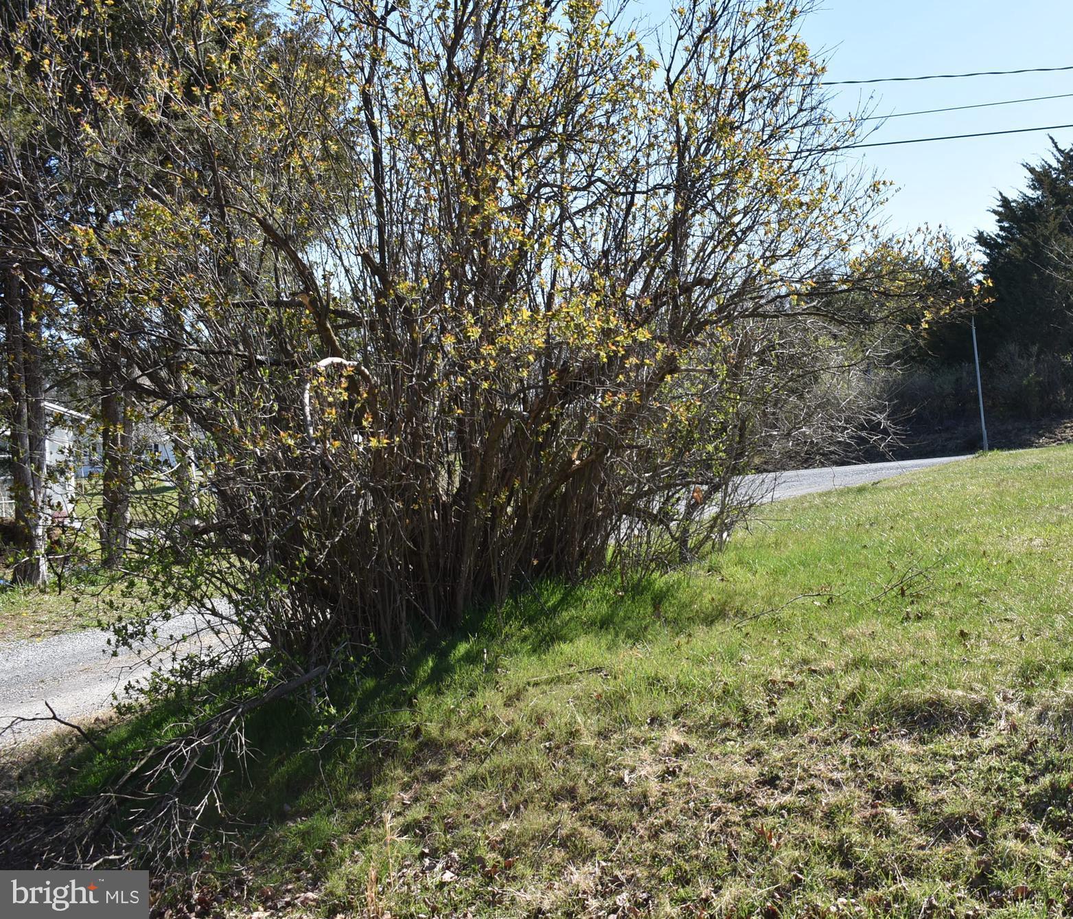 APPLE ORCHARD ACRES - Residential