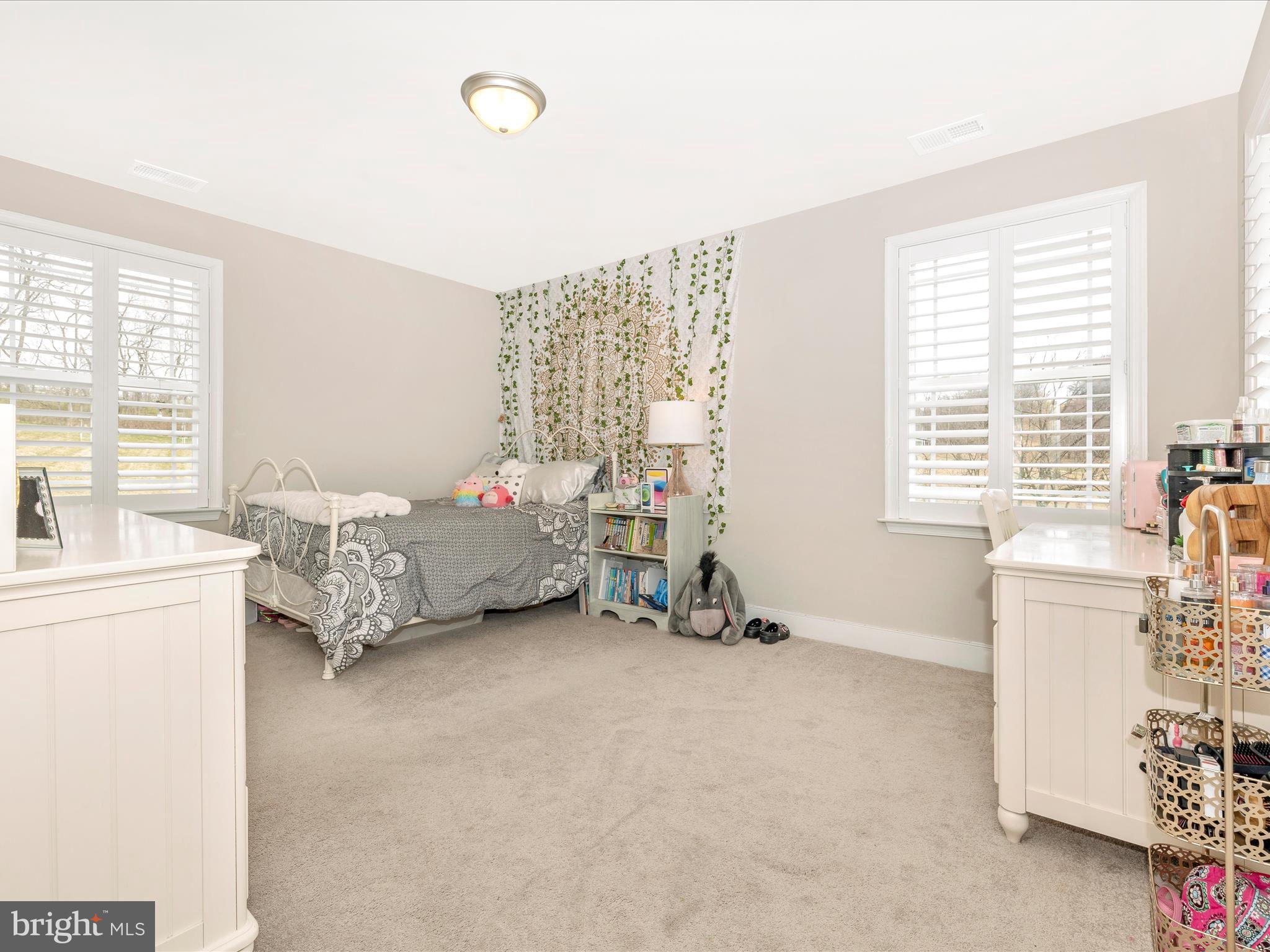 PAINTED ARCH PASS - Residential