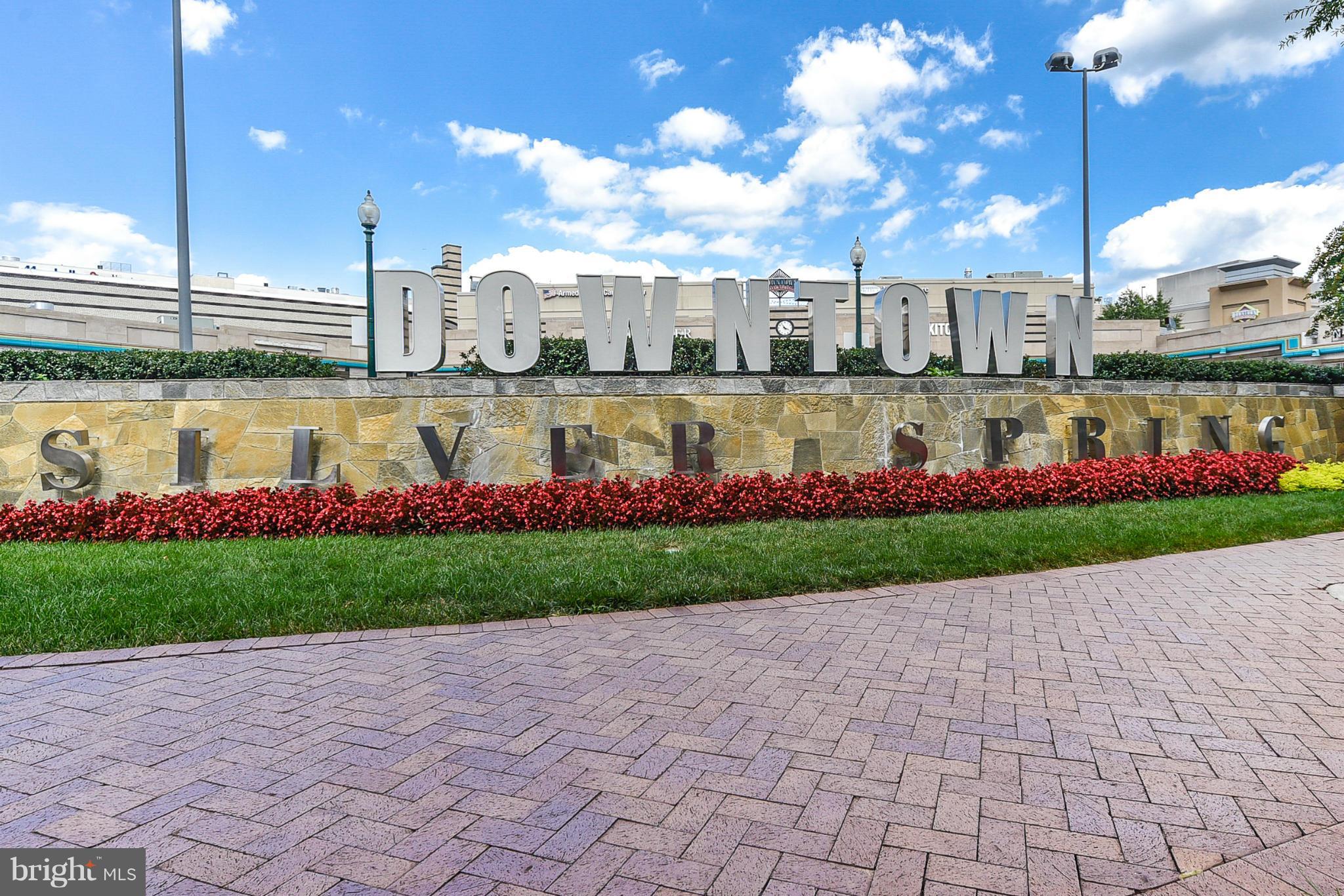 8045 AT SILVER SPRING METRO - Residential