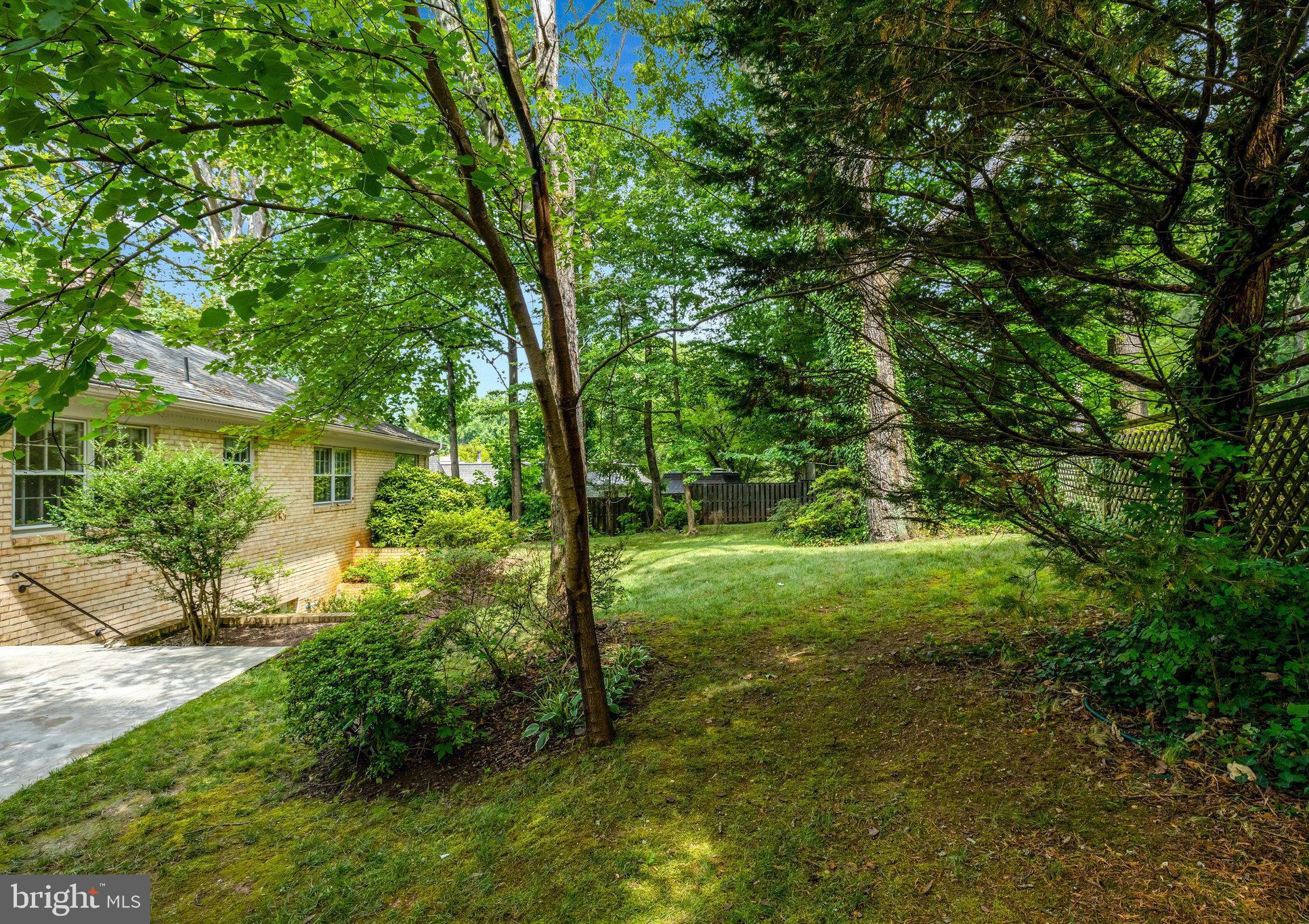 CHAIN BRIDGE WOODS - Residential